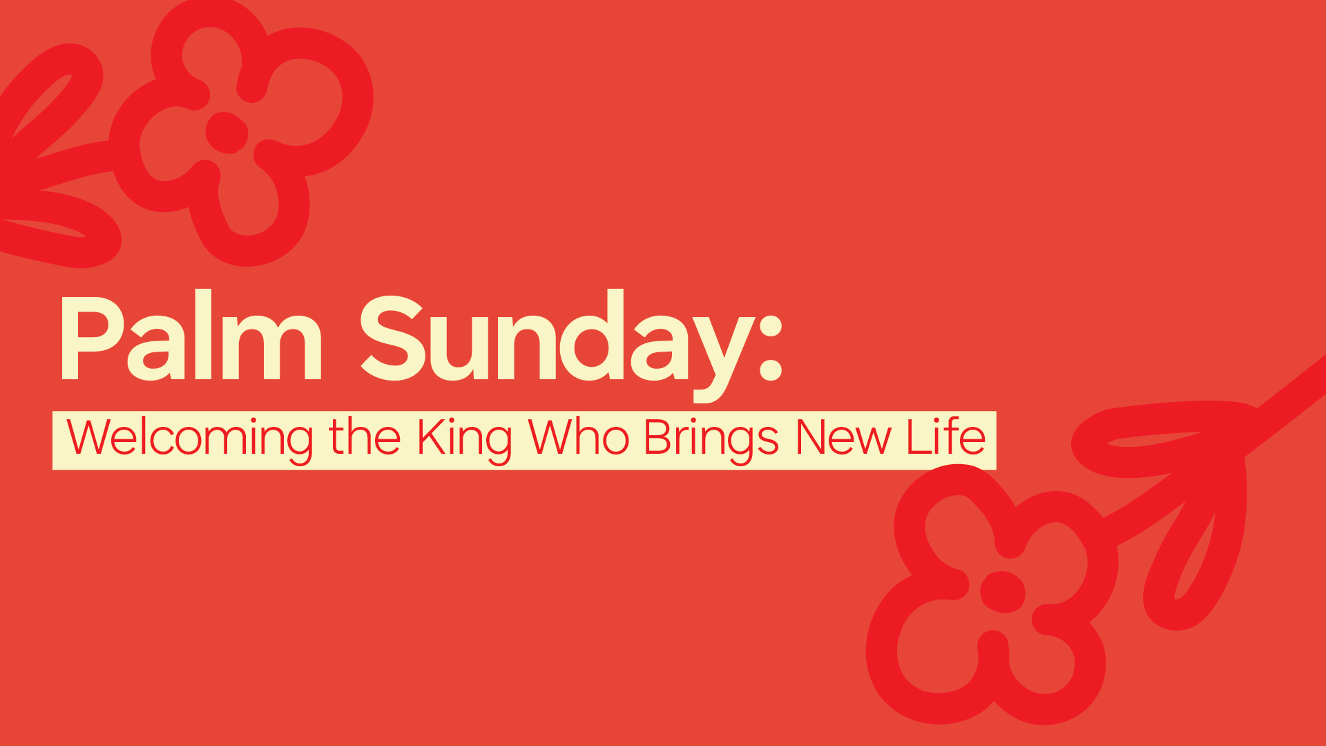 Palm Sunday: Welcoming the King Who Brings New Life