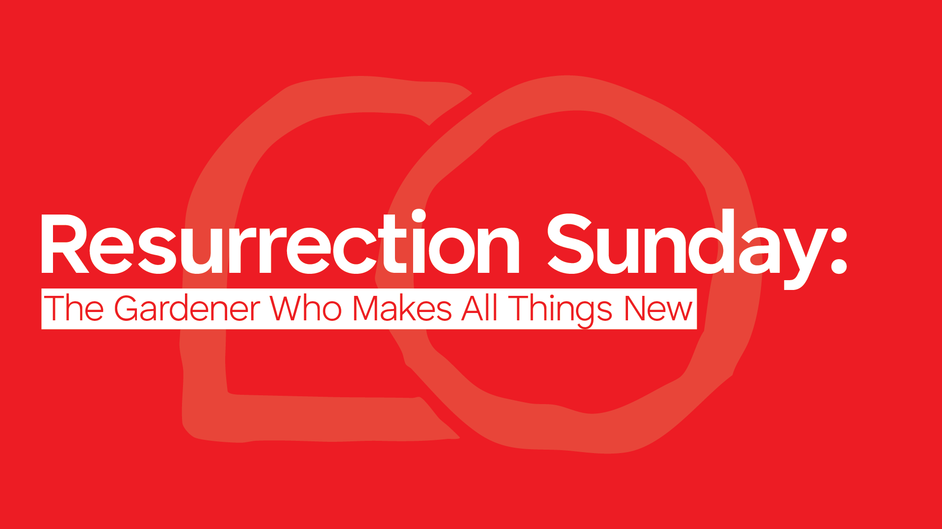 Resurrection Sunday: The Gardener Who Makes All Things New
