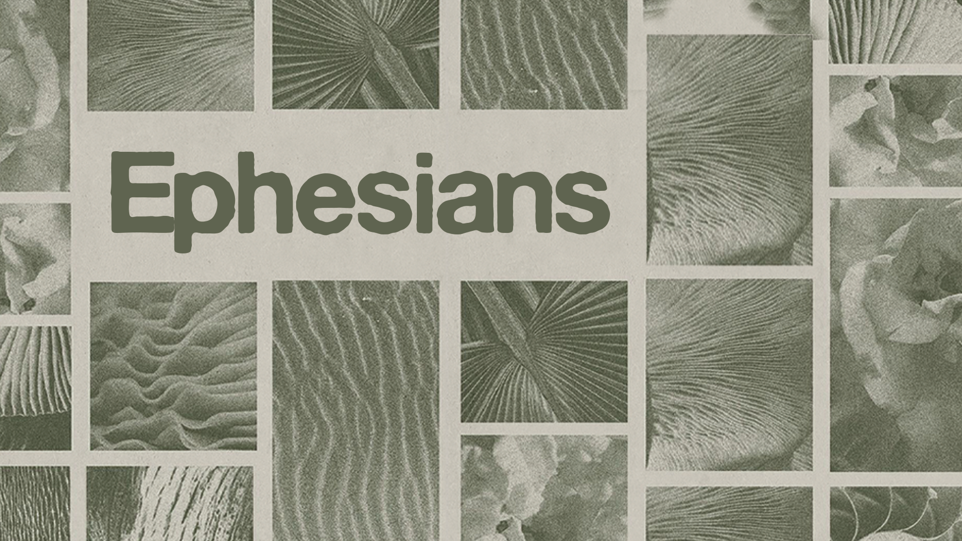 Ephesians (New series)