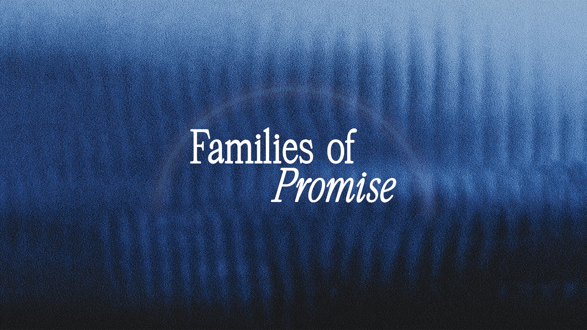 Families of Promise (New Series)