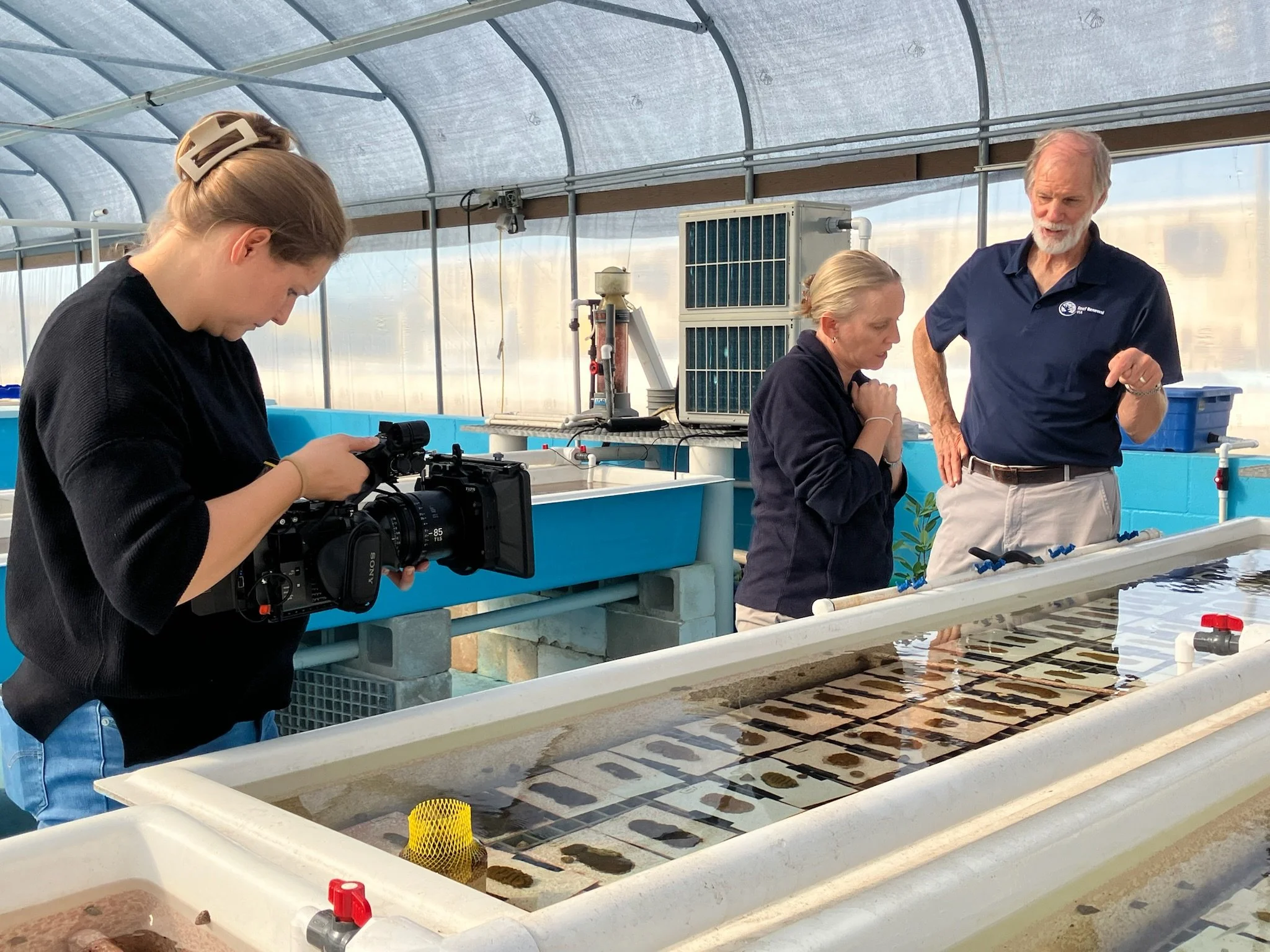 People working in a greenhouse examining plants in water tanks, with a camera operator filming the activity.