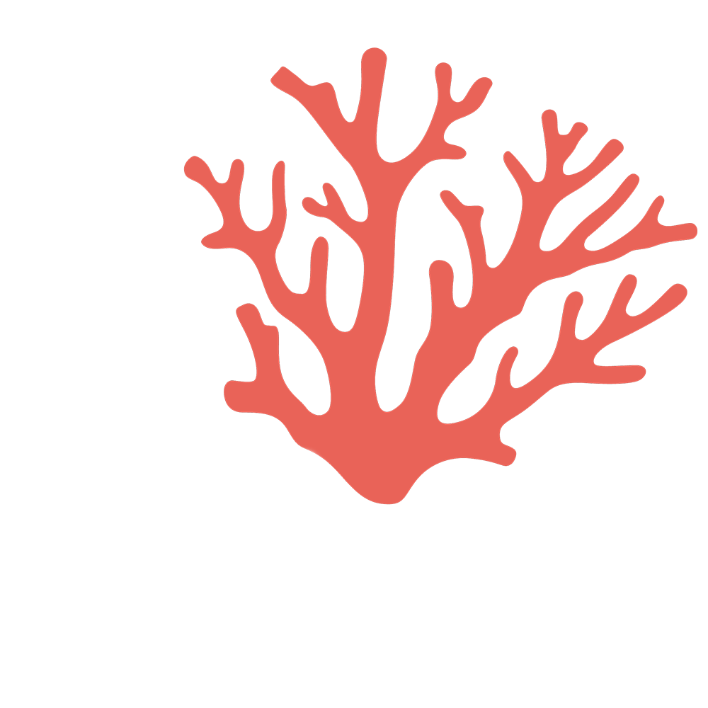 Reef Keepers Film