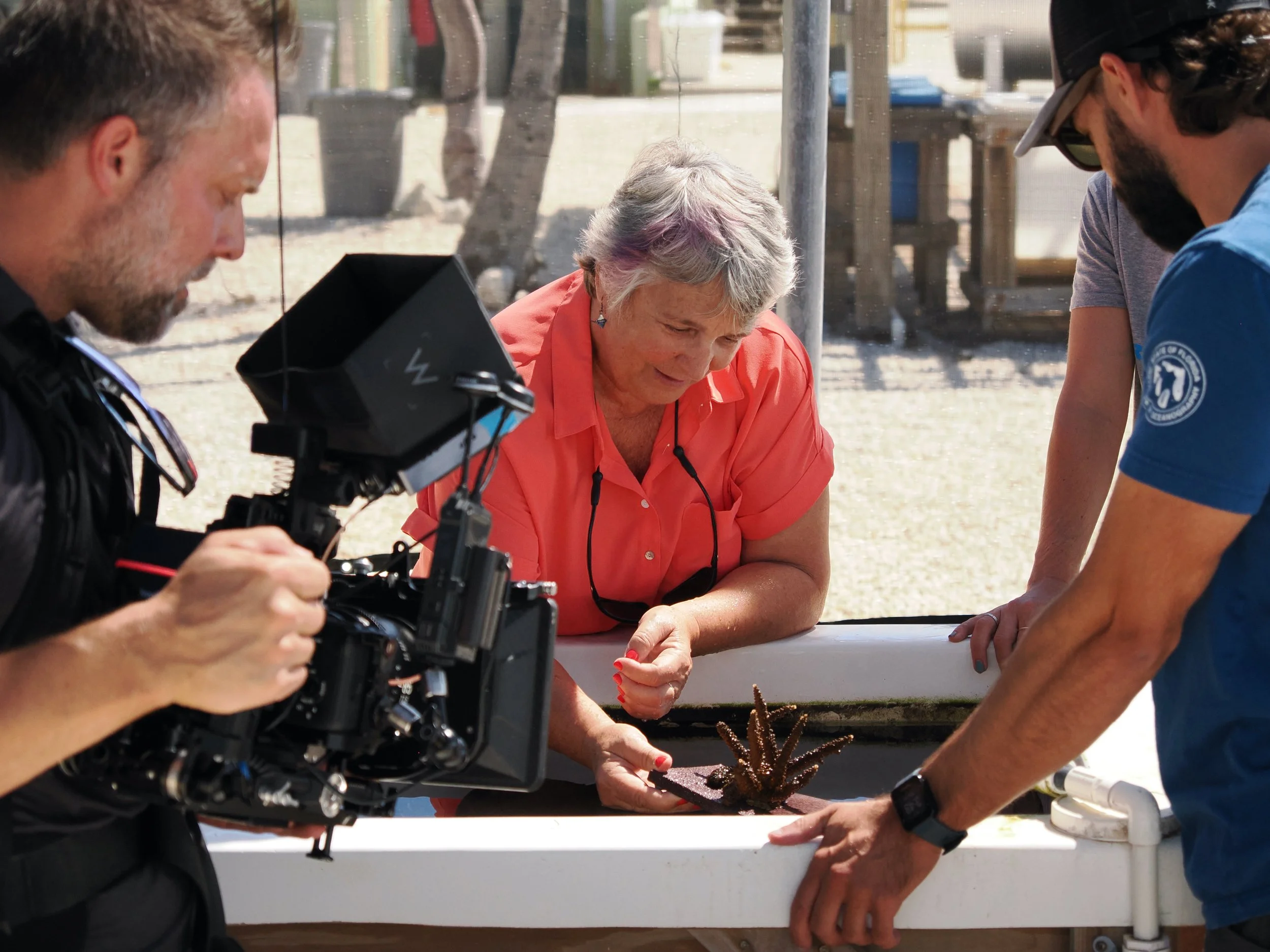 Three people gathered around a table, examining a small model of a starfish or coral, with a person operating a camera filming the scene, outdoors with trees and a building in the background.