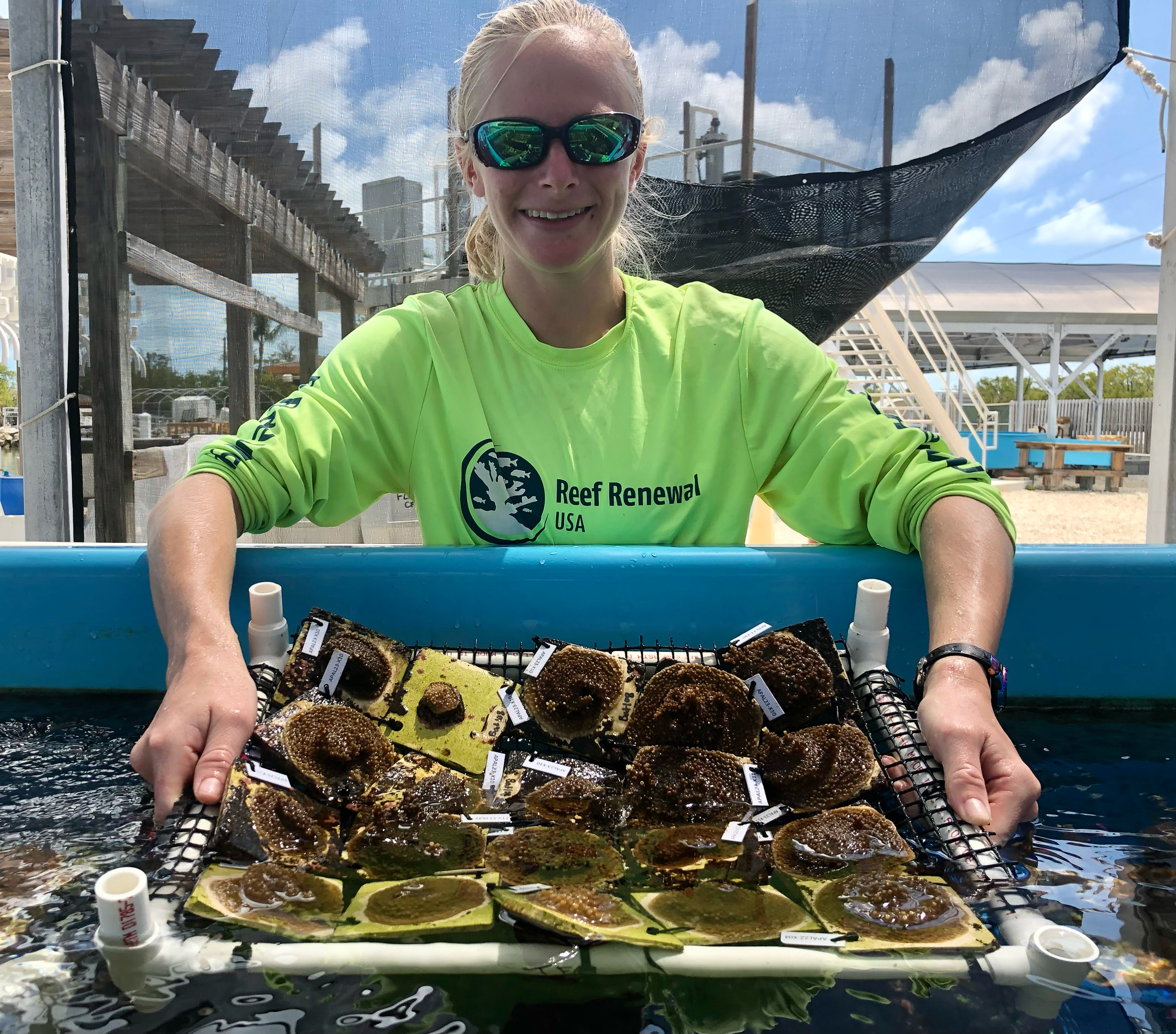 A woman with blonde hair wearing sunglasses and a neon green shirt with 'Reef Renewal USA' printed on it, smiling and holding a tray of coral fragments above water at a marine restoration site under a partly cloudy sky.