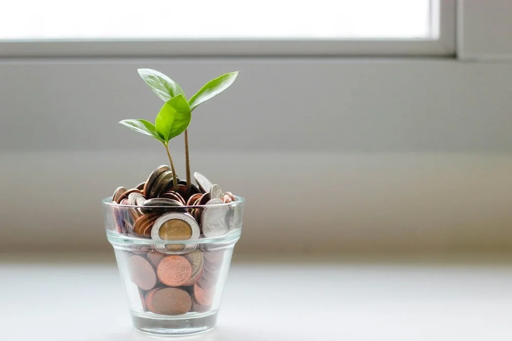 A small green plant growing in a clear glass filled with coins, symbolizing financial growth.