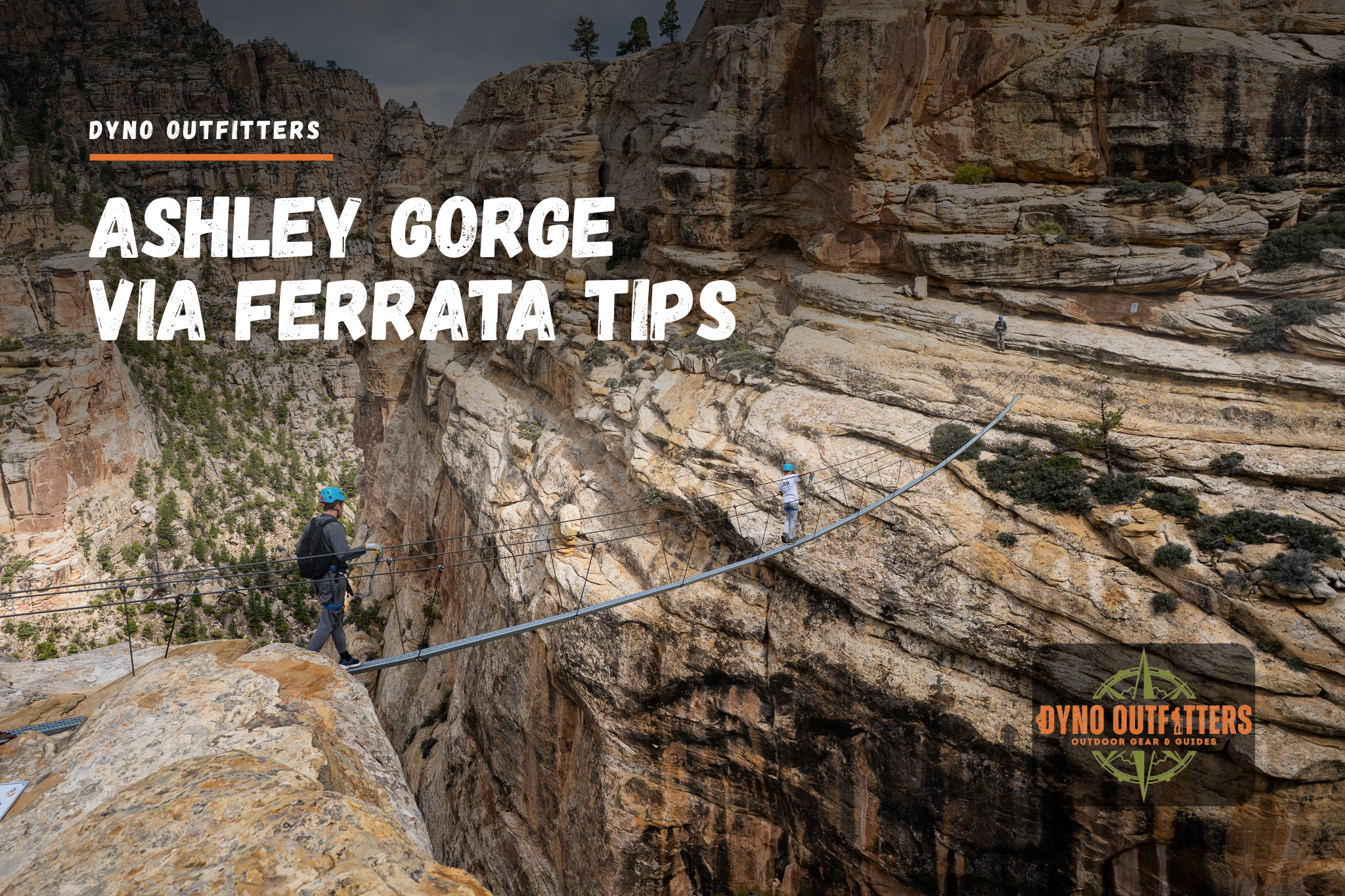 Ashley Gorge Via Ferrata Tips: What Local Guides Wish Every Climber Knew
