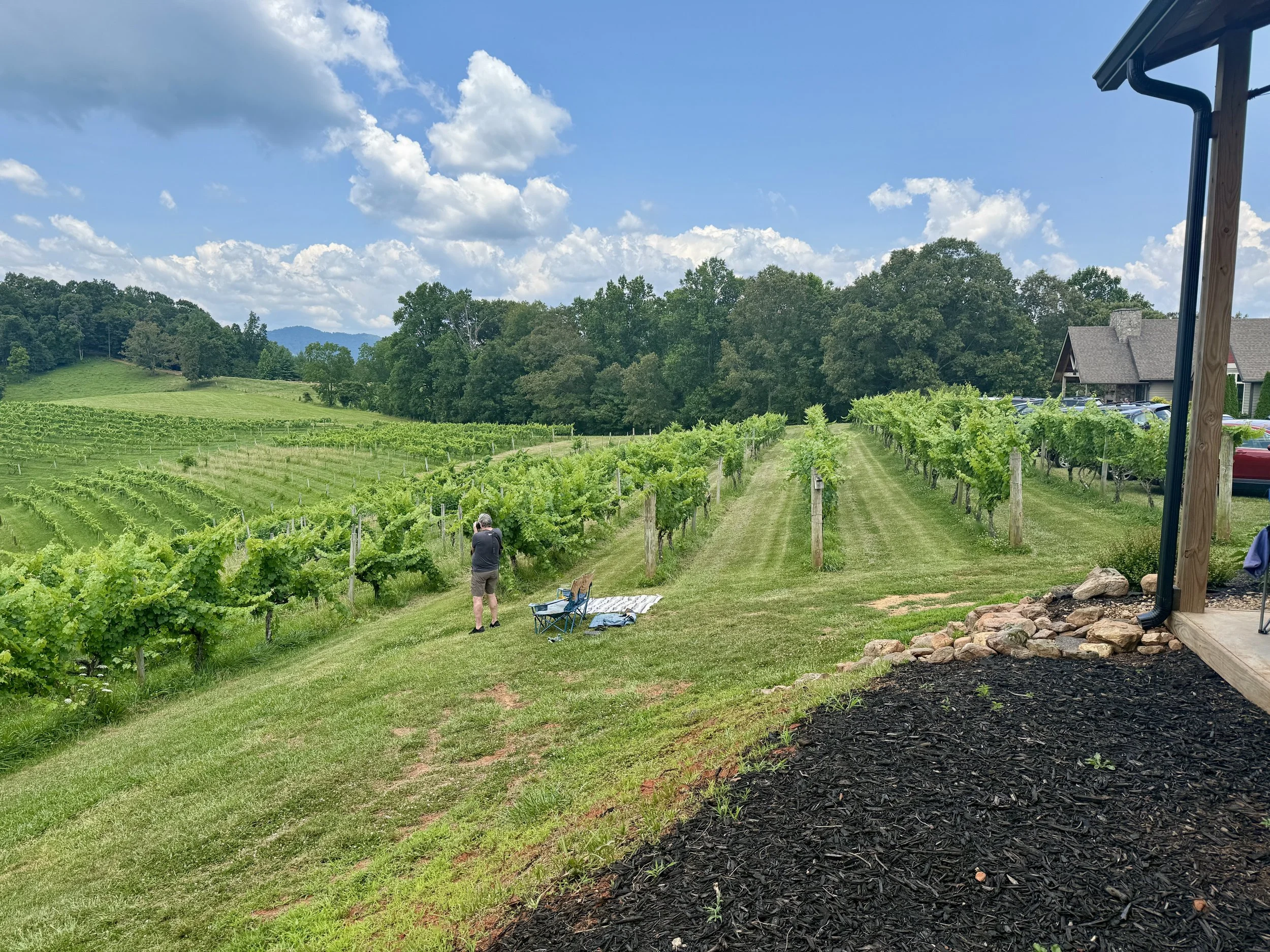 View from Event Barn