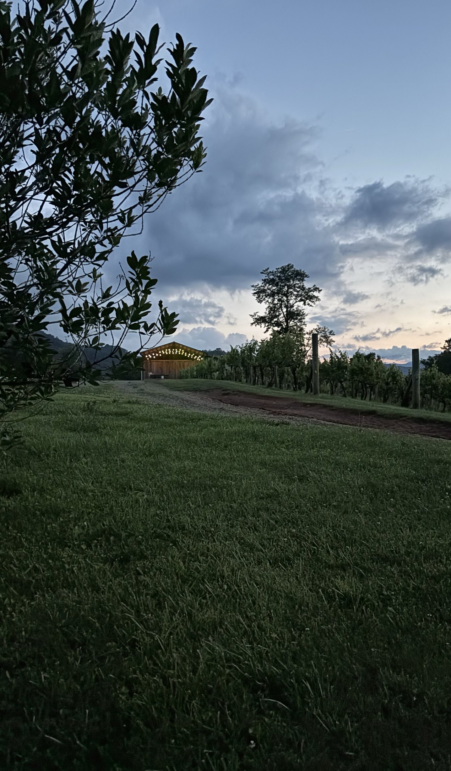 A Midsummer Garden Supper