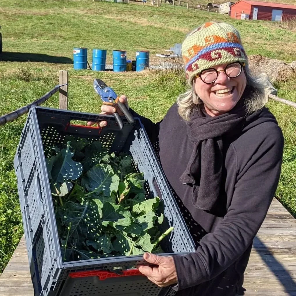 Chef Terri Terrell harvesting with Utopian Seed Project