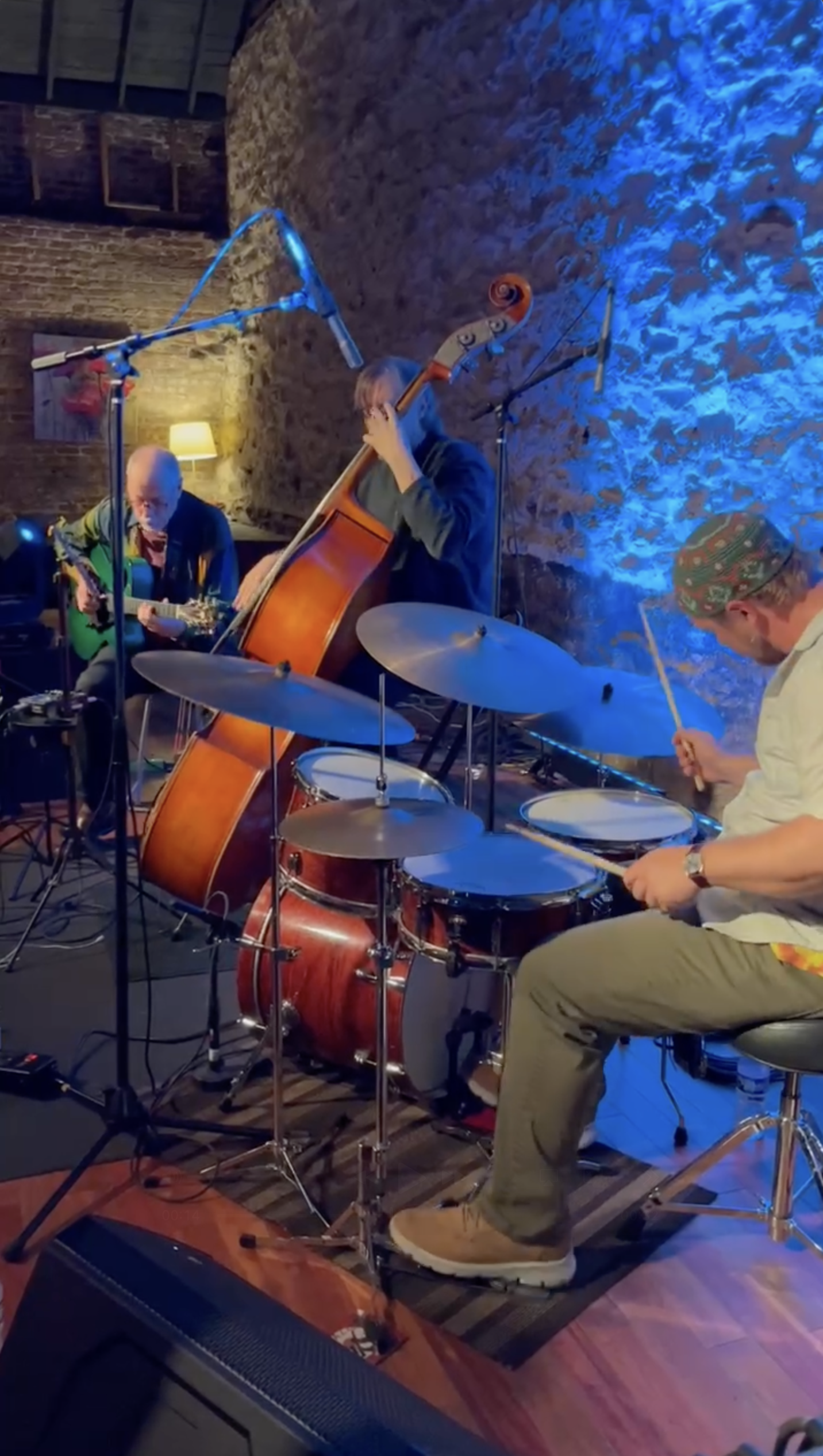 Folk In Jazz Trio Performance