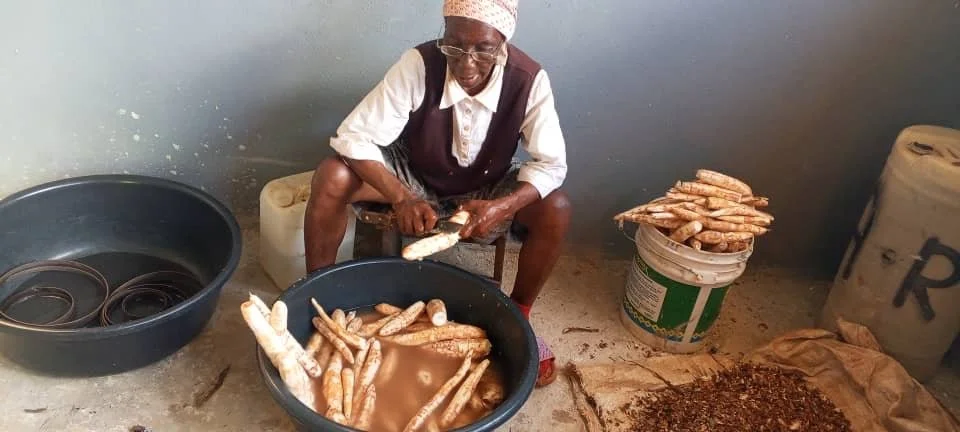 Christina peeling and washing tubers beforre processing.JPG