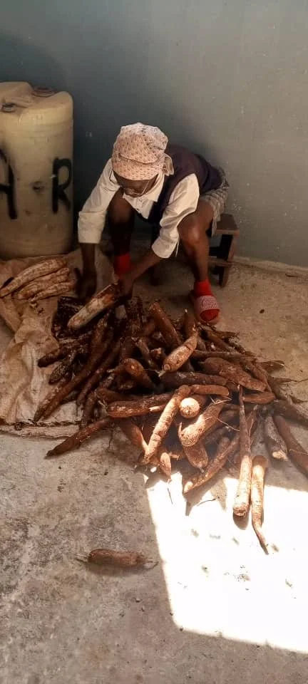 Cassava-Peeling Dry Tubers before processing (Christine-Sister of Mary Kam).JPG