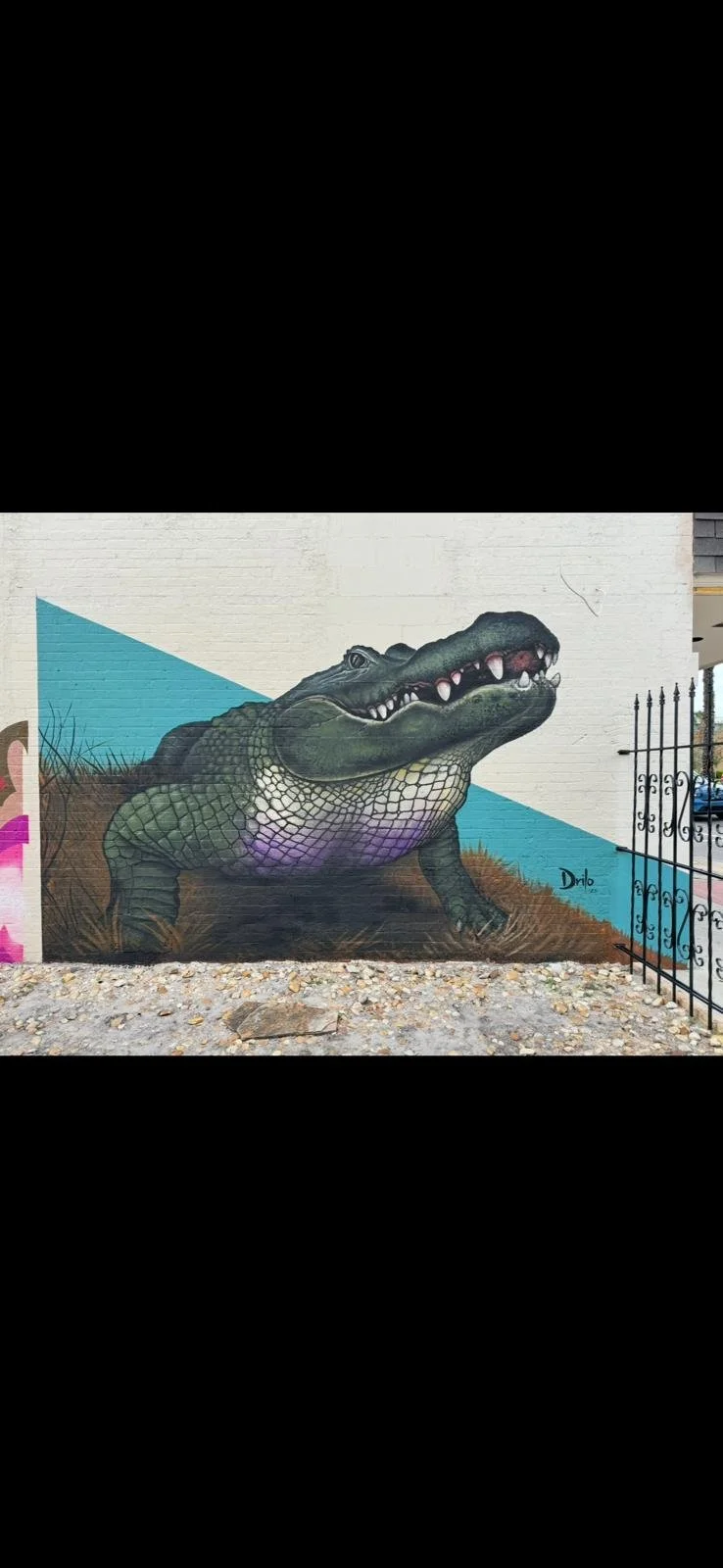 PHOTO-Mural-GatorApopka.jpg
