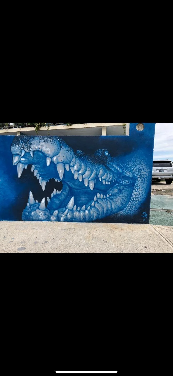 PHOTO-Mural-Croc2.jpg