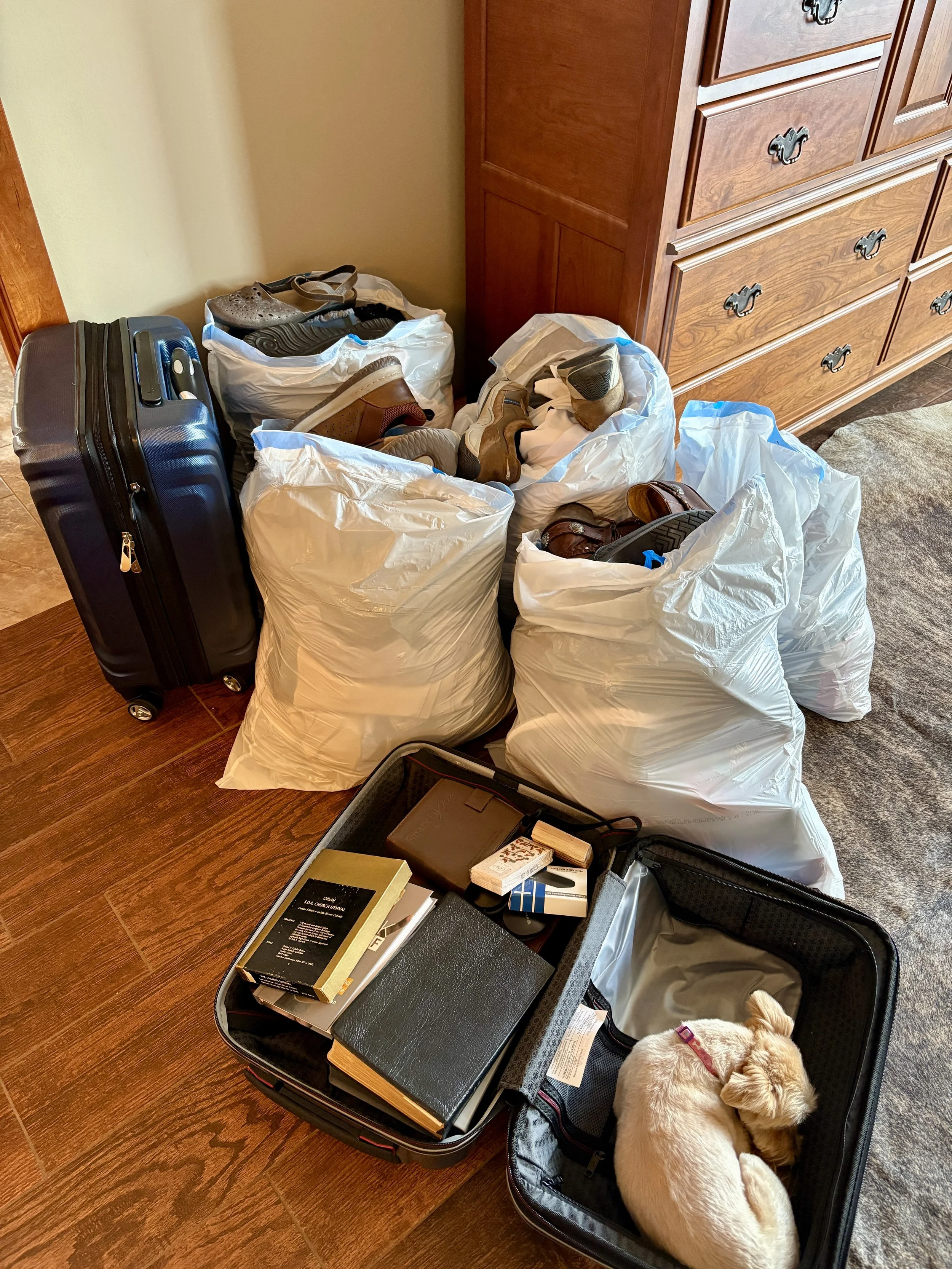 Donations --- no, she did not donate her dog!