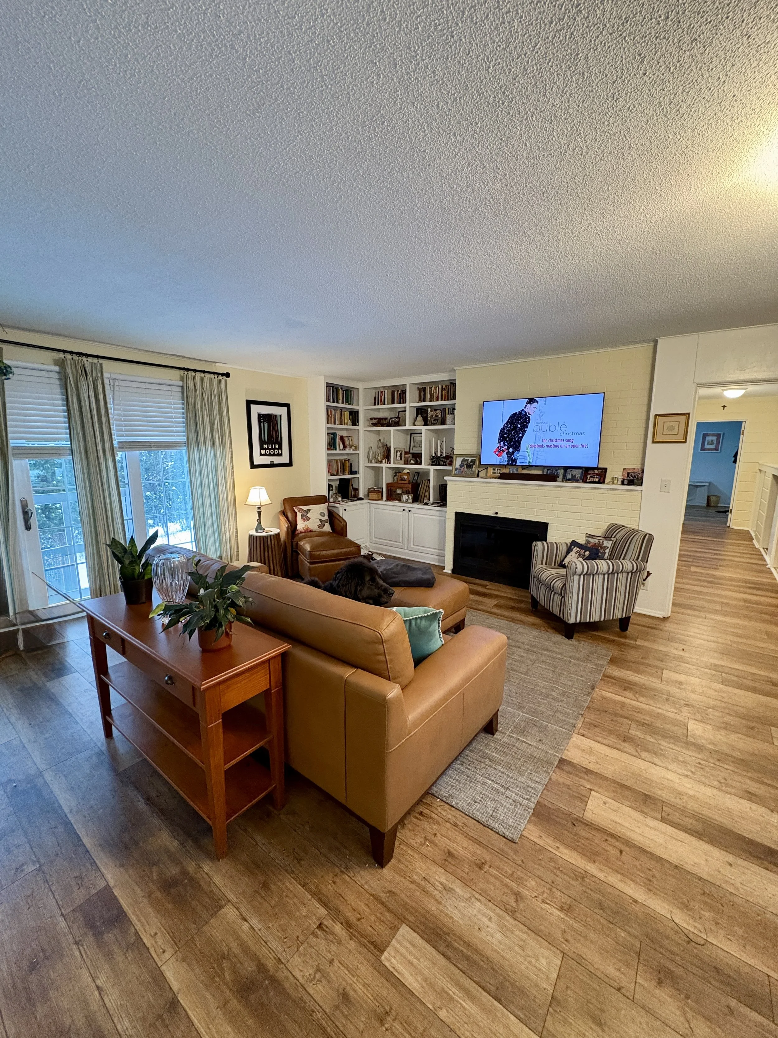 Living Room Organization & Styling | Rochester, MN