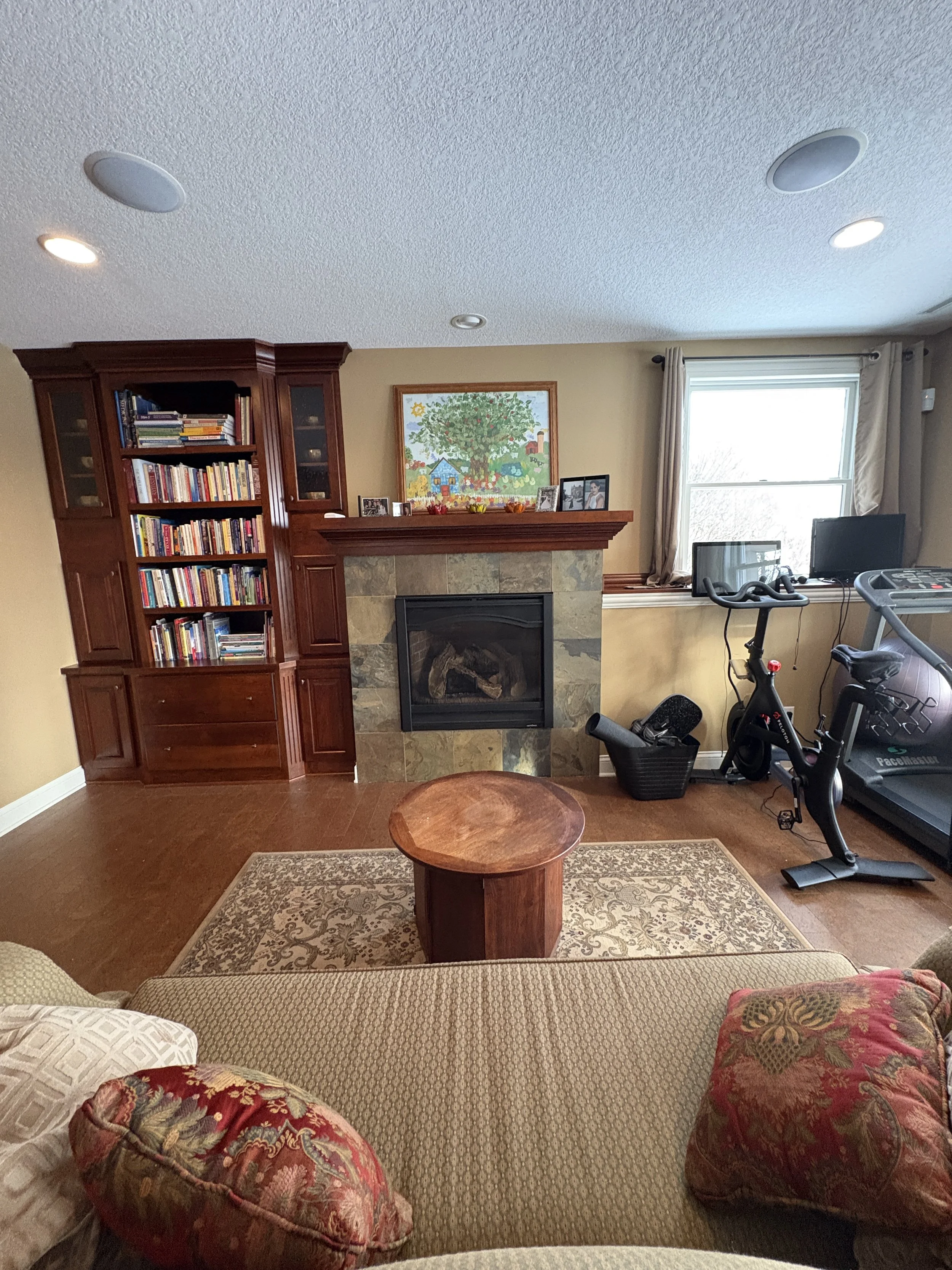 Lower Level Bar, Fireplace & Workout Area Organization | Rochester, MN