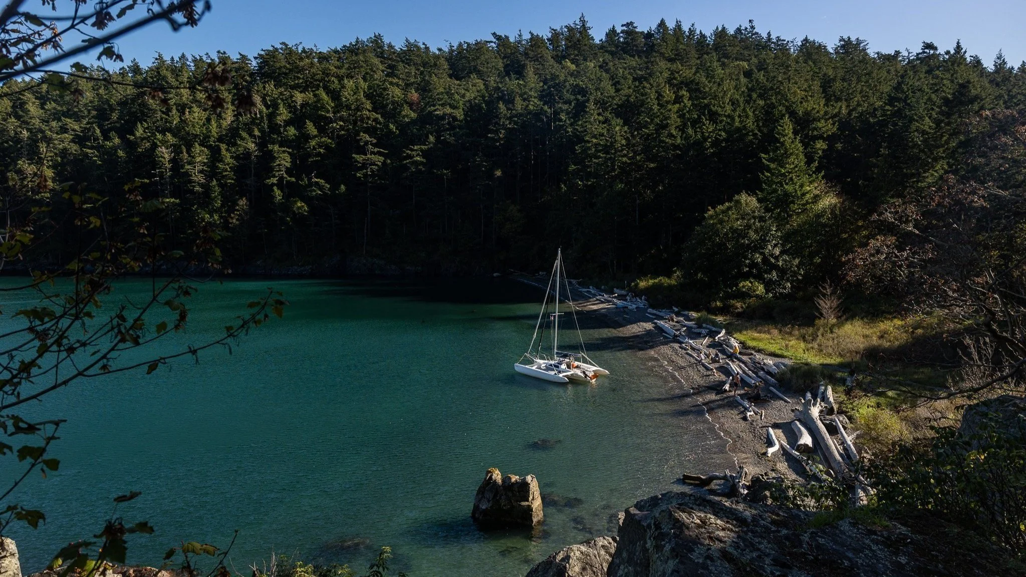 A small sailboat is anchored near a shoreline with large driftwood logs on a pebble beach, surrounded by dense forest on a clear day.