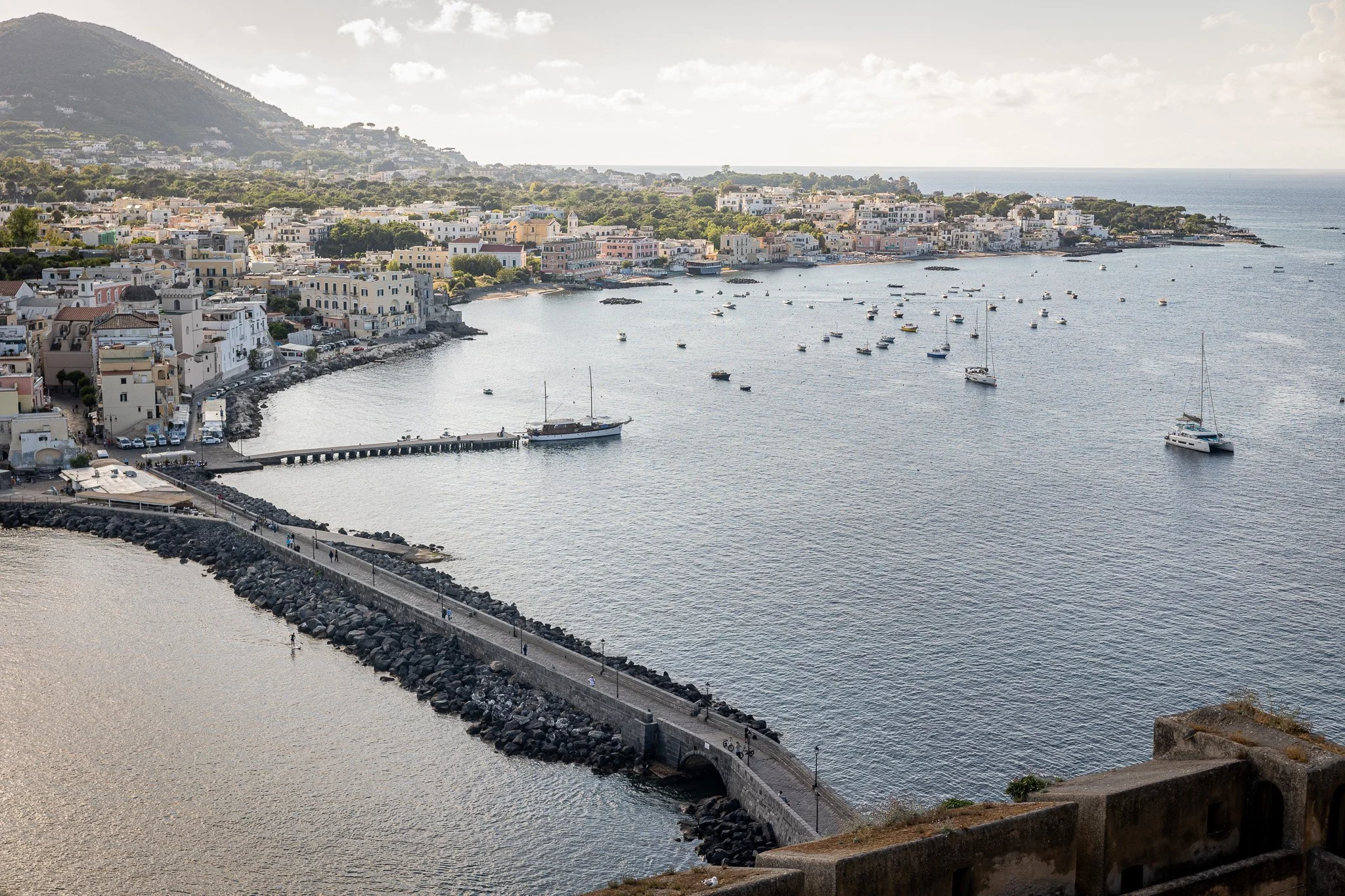 A coastal town with a harbor filled with boats, buildings lining the shoreline, and a mountain in the background under a partly cloudy sky.