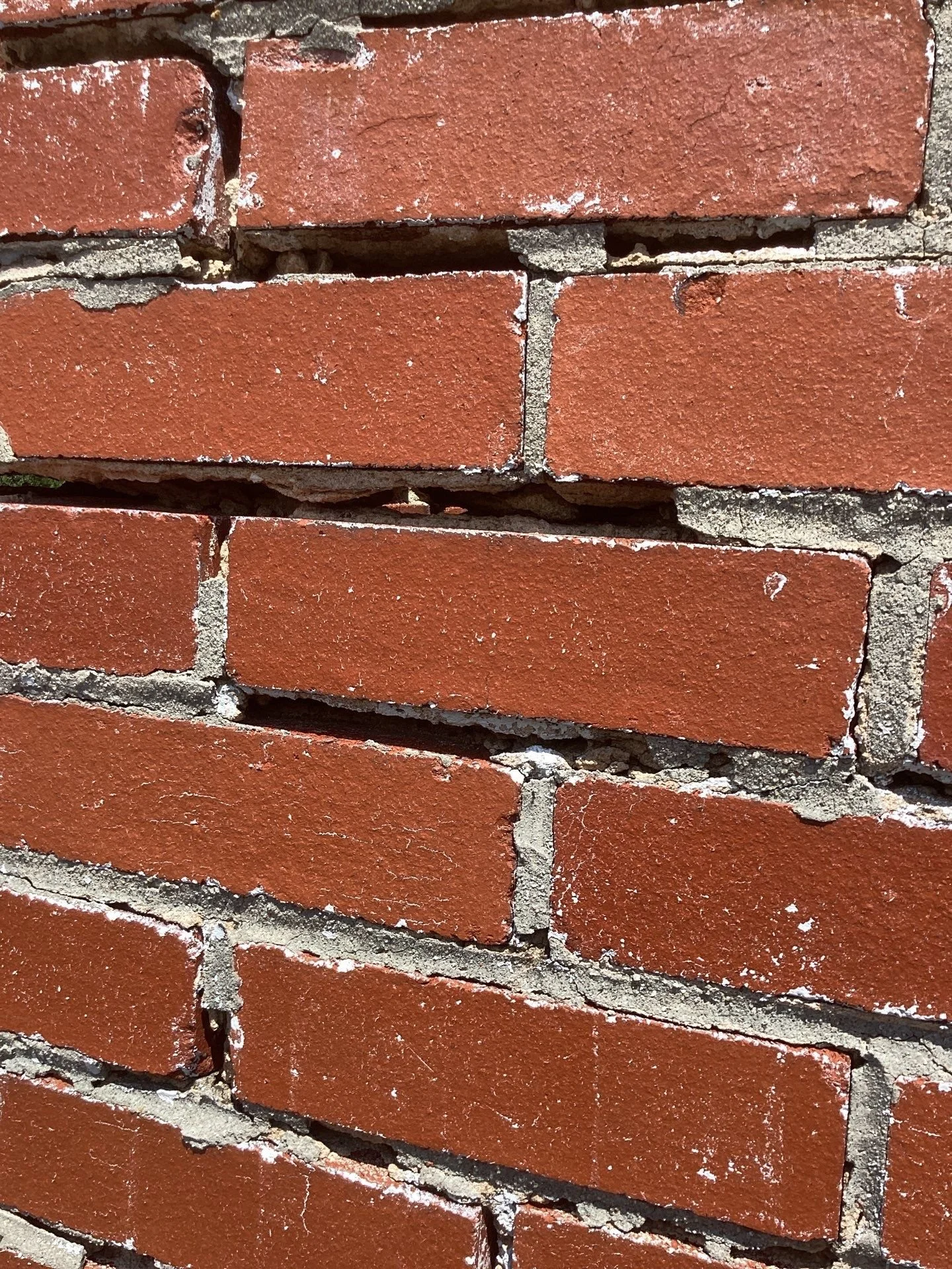 3-Aug 29 2025 12_30pm-qJYg.jpg