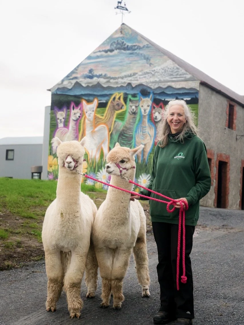Introducing the first of our 2026 exhibitors&hellip;

Kathleen from Ashtonelle Alpacas, a farm based here in County Down, Northern Ireland.

&lsquo;&rsquo;Our range celebrates everything we love about alpaca.  Local, homegrown and carefully processed