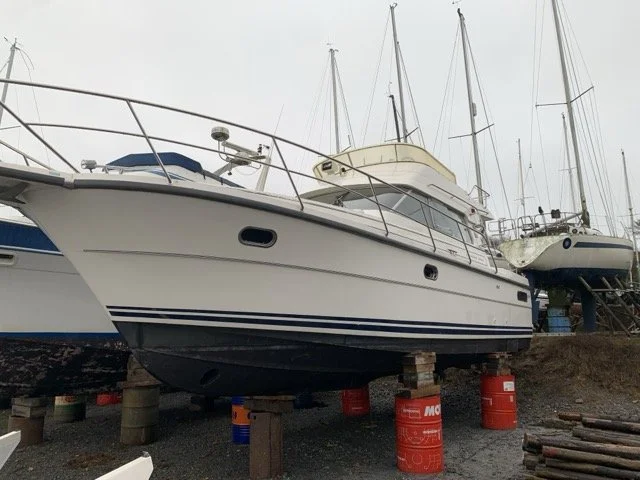 IMG_1475 Medium.jpeg