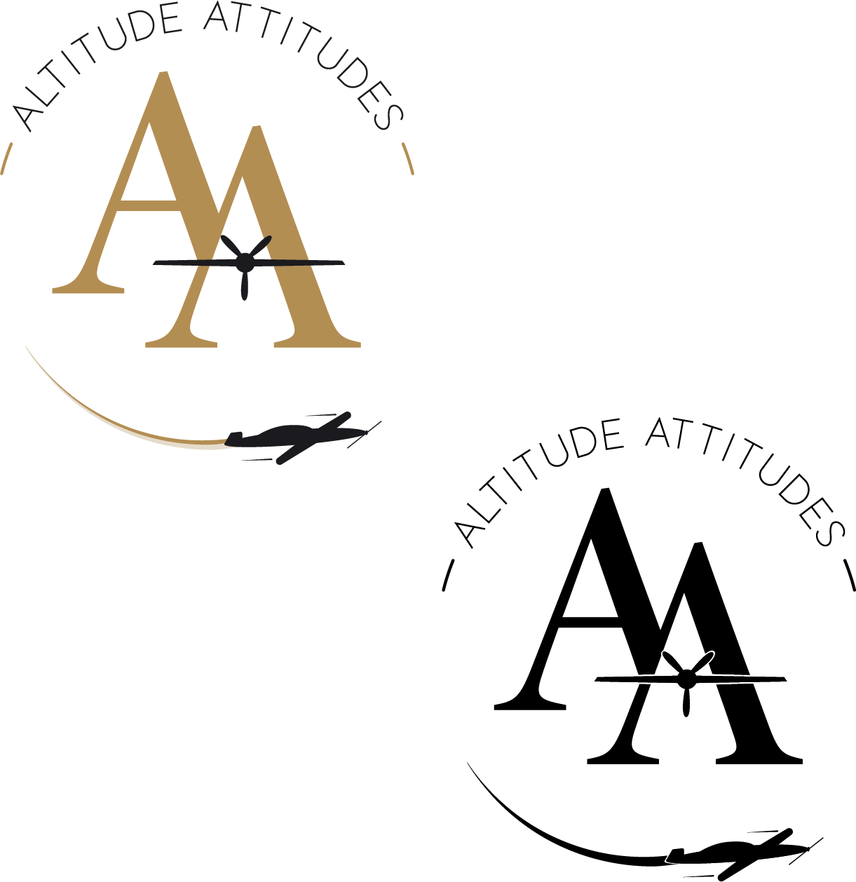 Aerobatic Flight Company Concept 