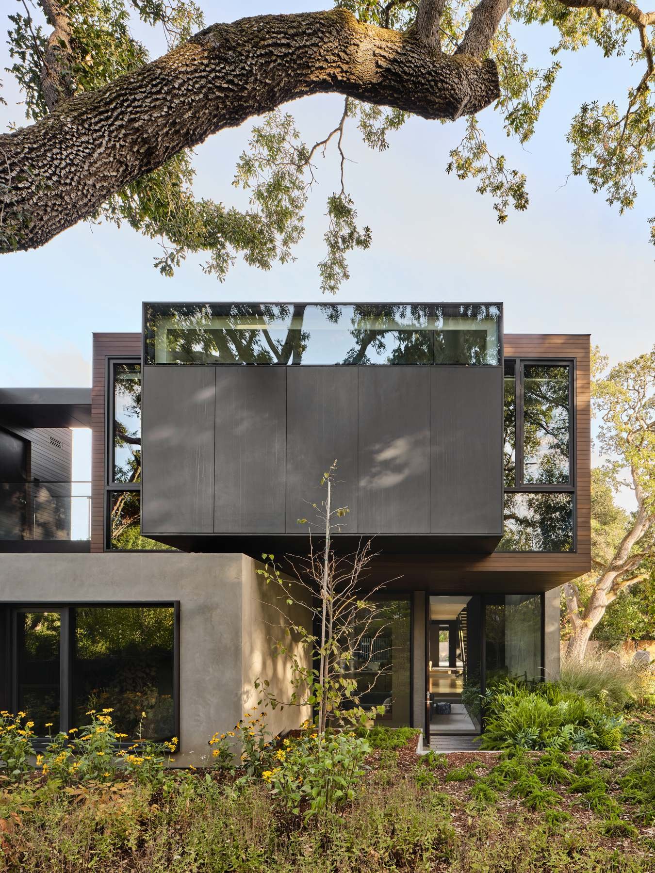 Custom steel-framed windows wrap the Atherton residence exterior beneath a mature oak tree.