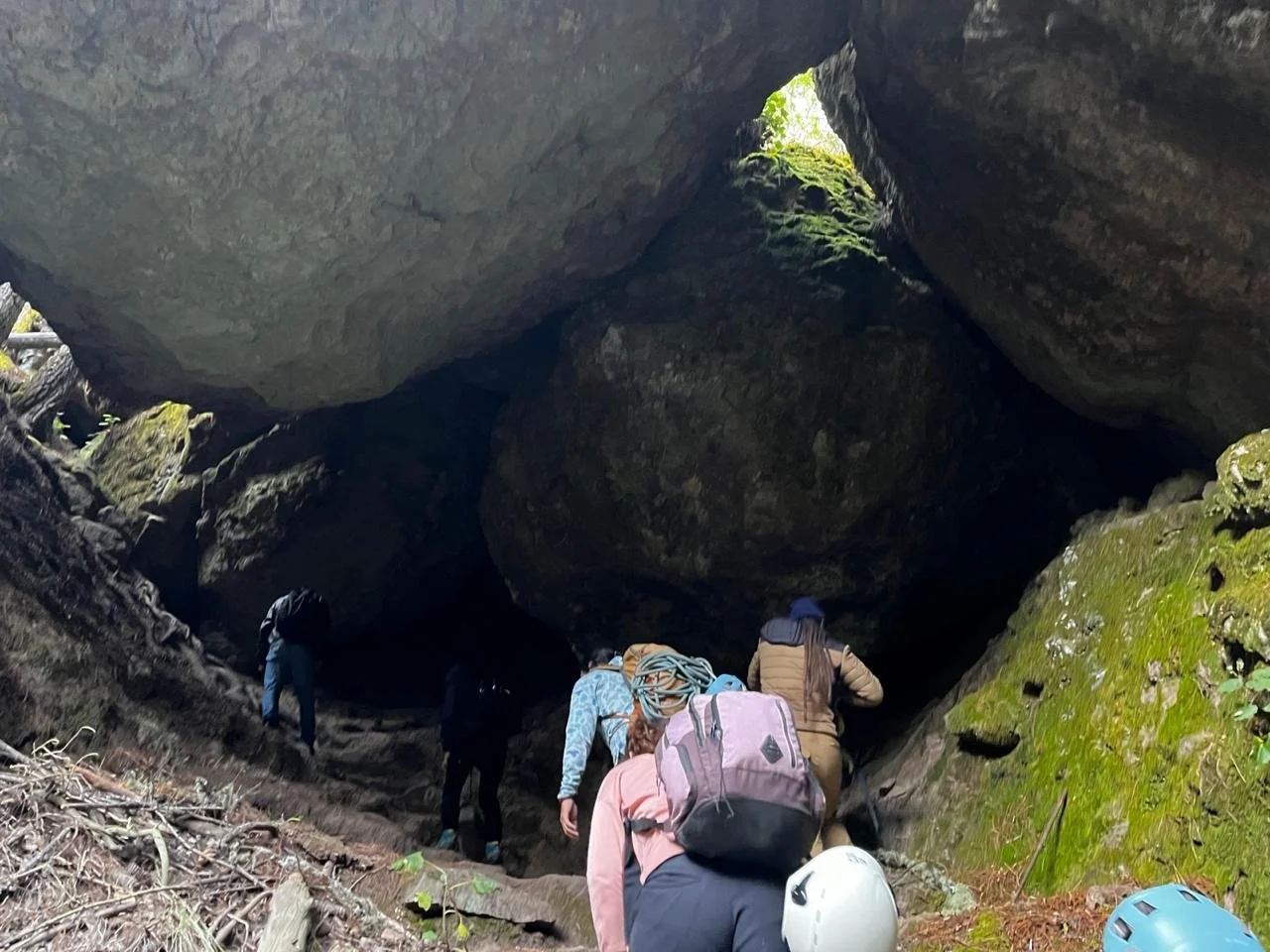 WhatsApp Image 2026-01-19 at 2.50.52 PM (1).jpeg