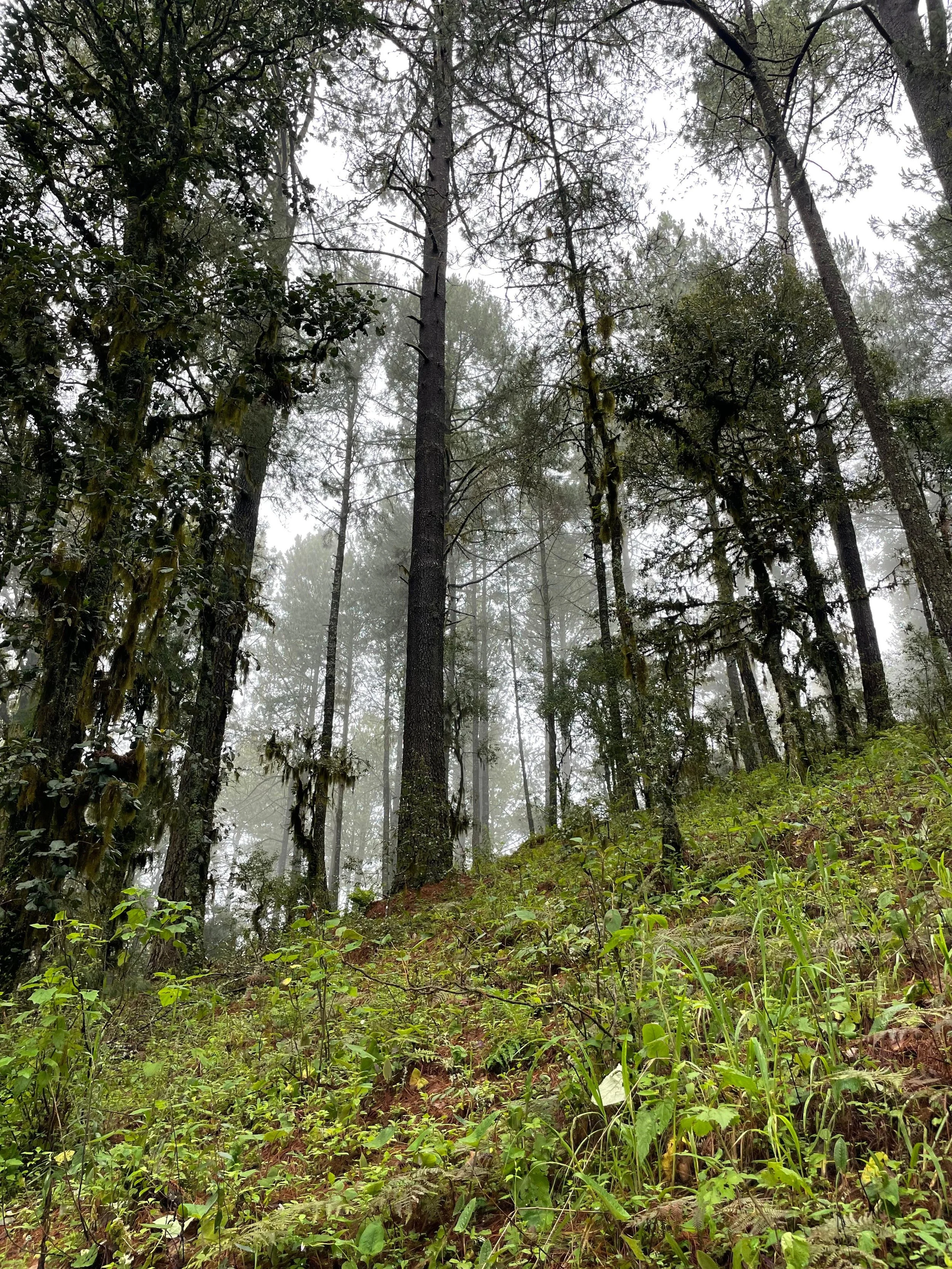 WhatsApp Image 2026-01-18 at 7.22.58 PM (3).jpeg