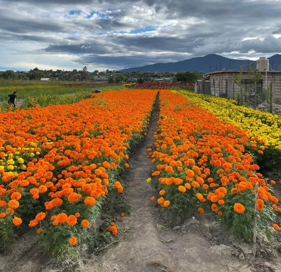 WhatsApp Image 2026-01-22 at 1.39.14 PM.jpeg