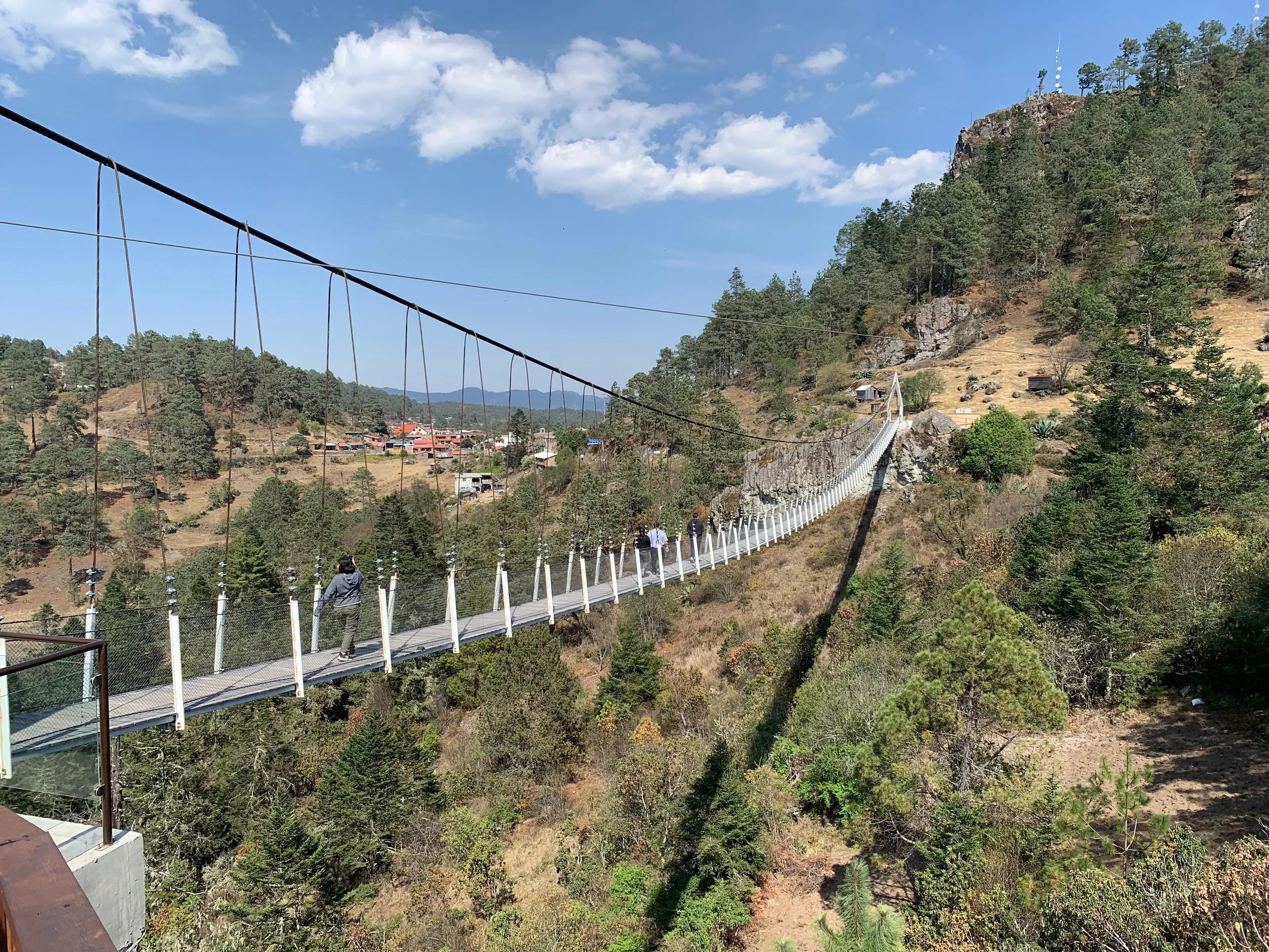 WhatsApp Image 2026-01-19 at 4.10.17 PM (3).jpeg