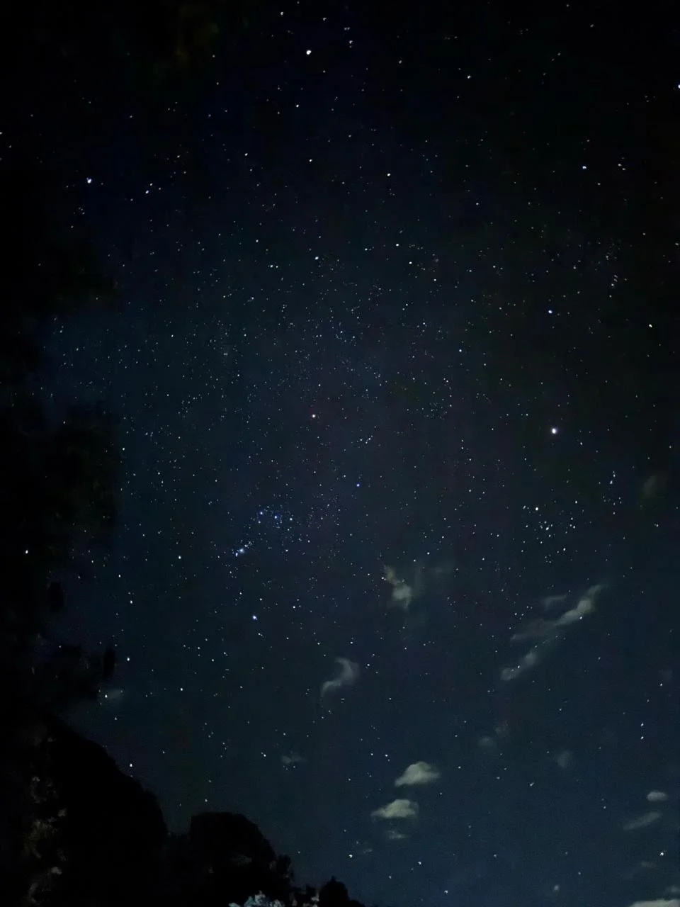 WhatsApp Image 2026-01-19 at 3.38.55 PM.jpeg