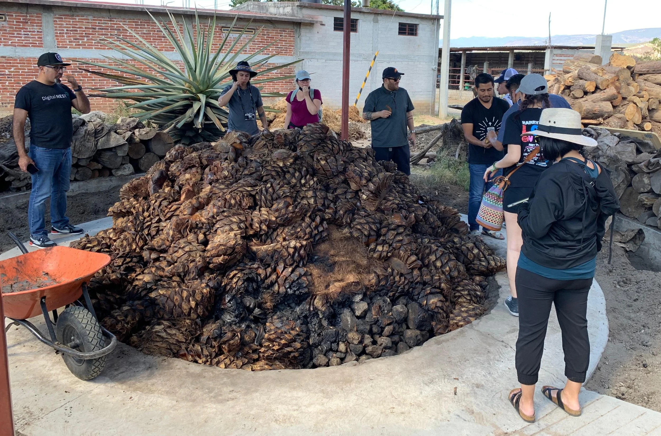 WhatsApp Image 2026-01-22 at 12.04.03 PM.jpeg