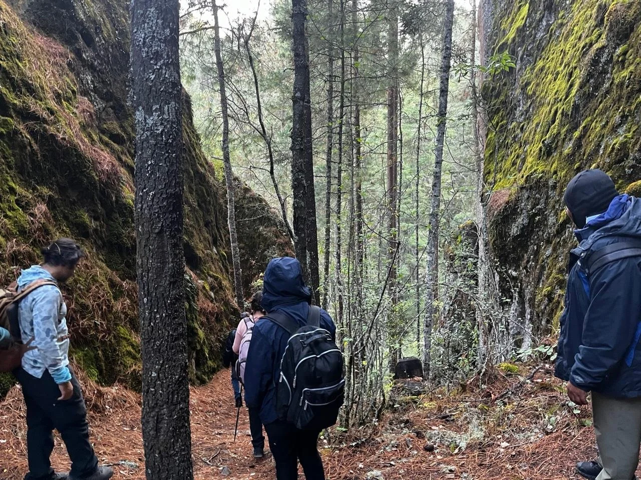 WhatsApp Image 2026-01-19 at 2.50.52 PM.jpeg