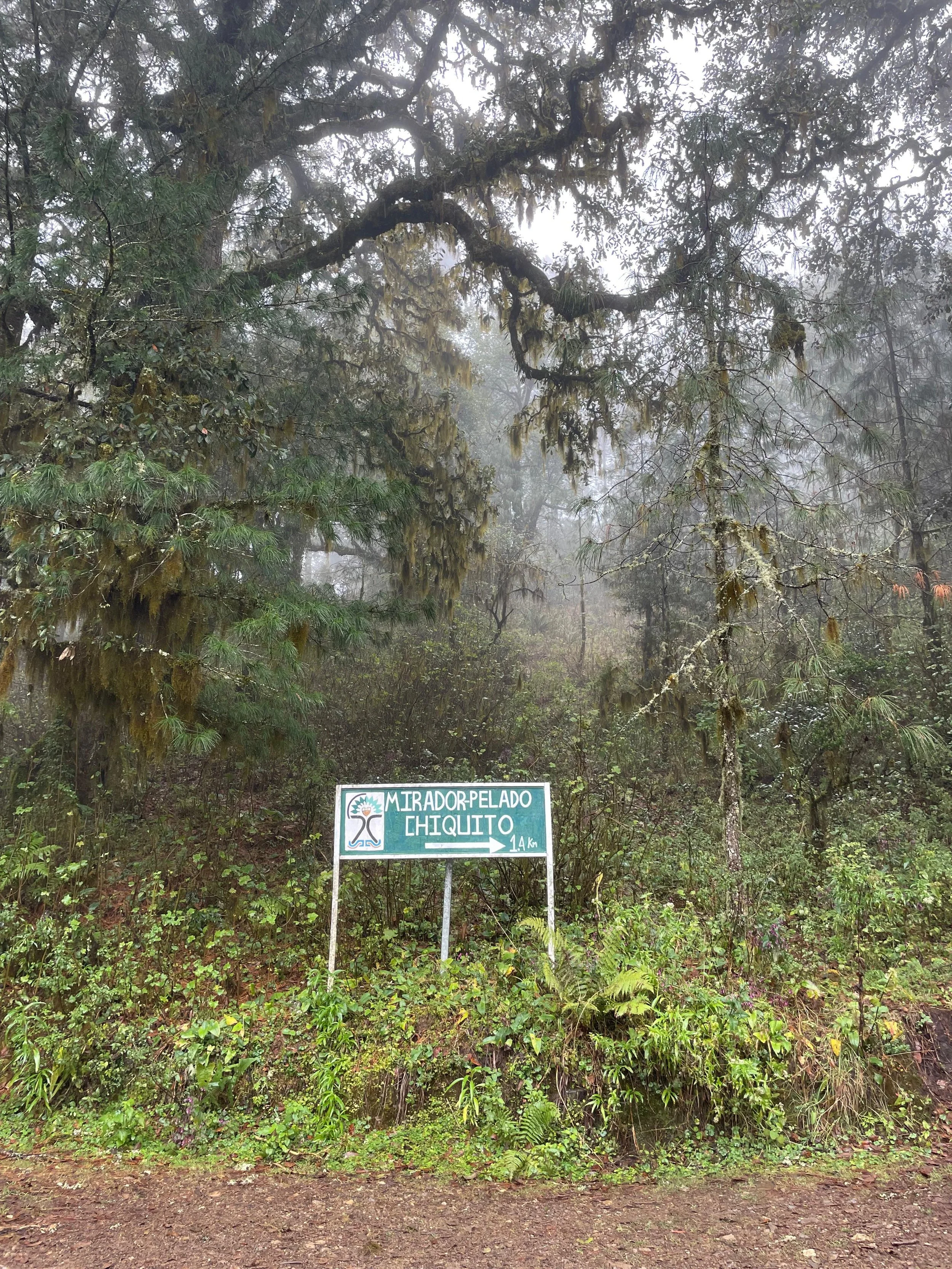 WhatsApp Image 2026-01-19 at 5.53.41 PM (2).jpeg