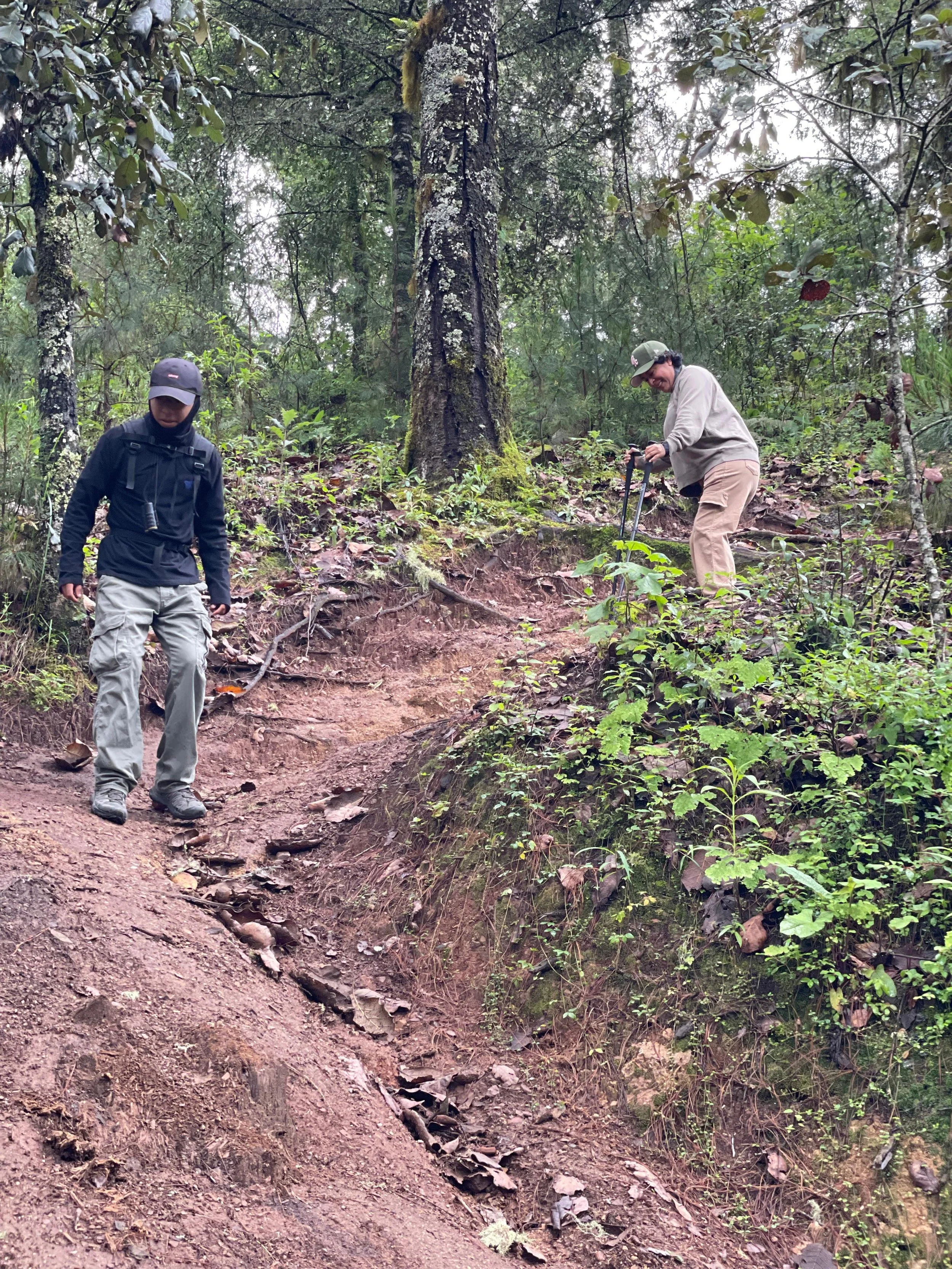 WhatsApp Image 2026-01-18 at 7.22.58 PM.jpeg