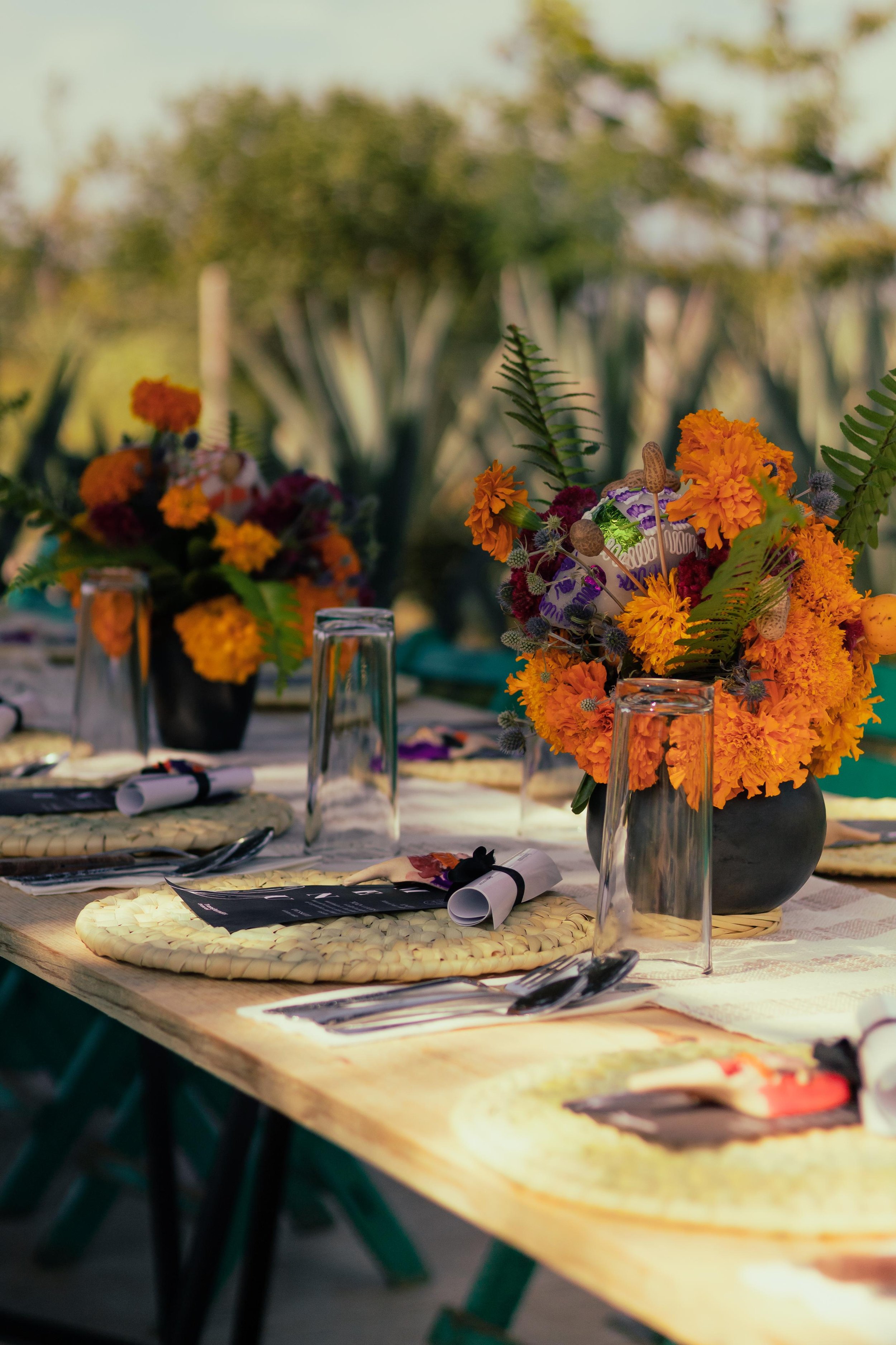 WhatsApp Image 2026-03-23 at 12.33.05 PM.jpeg