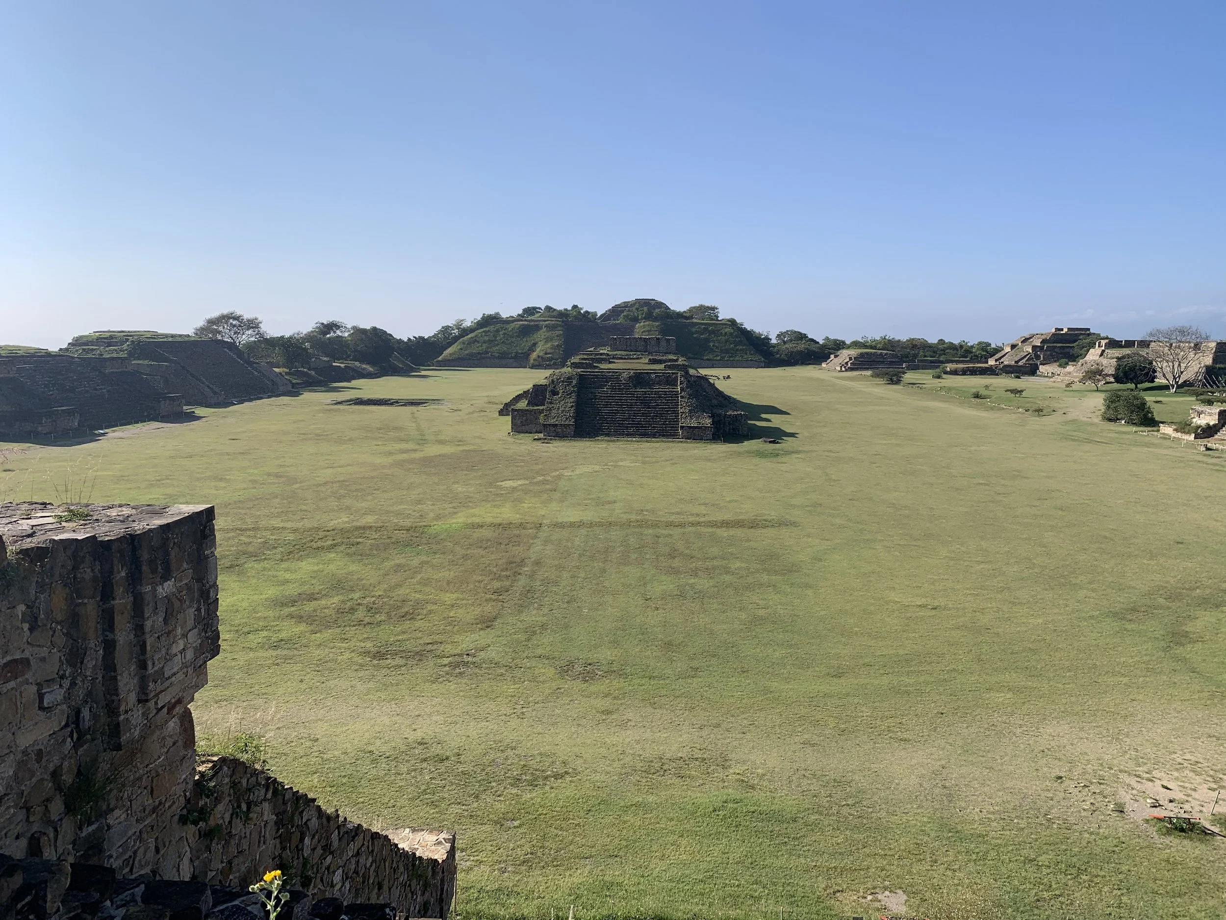 Monte Albán archaeological site with ancient stone structures and grassy open area under a clear blue sky.