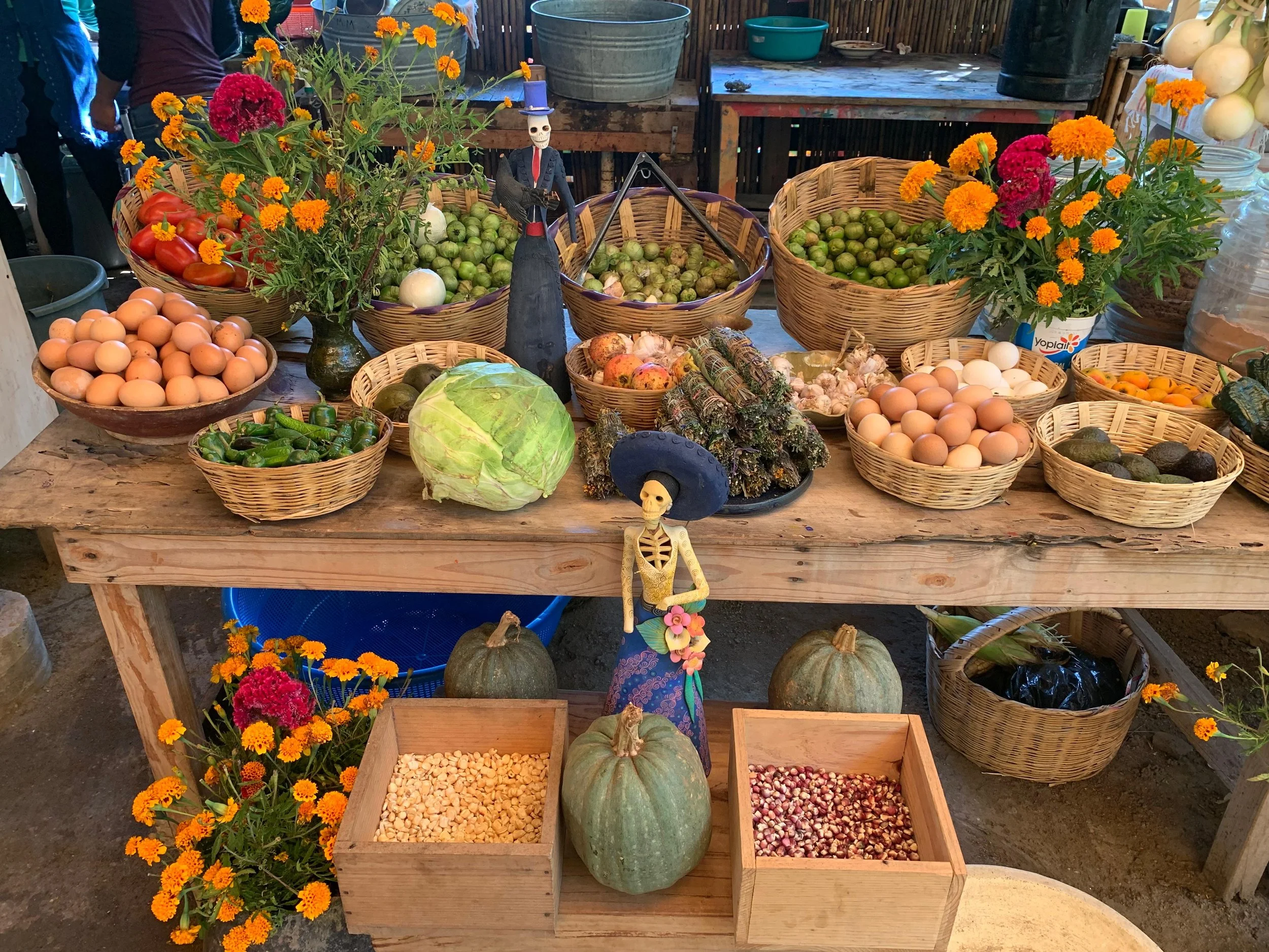 WhatsApp Image 2026-01-22 at 12.08.25 PM (2).jpeg