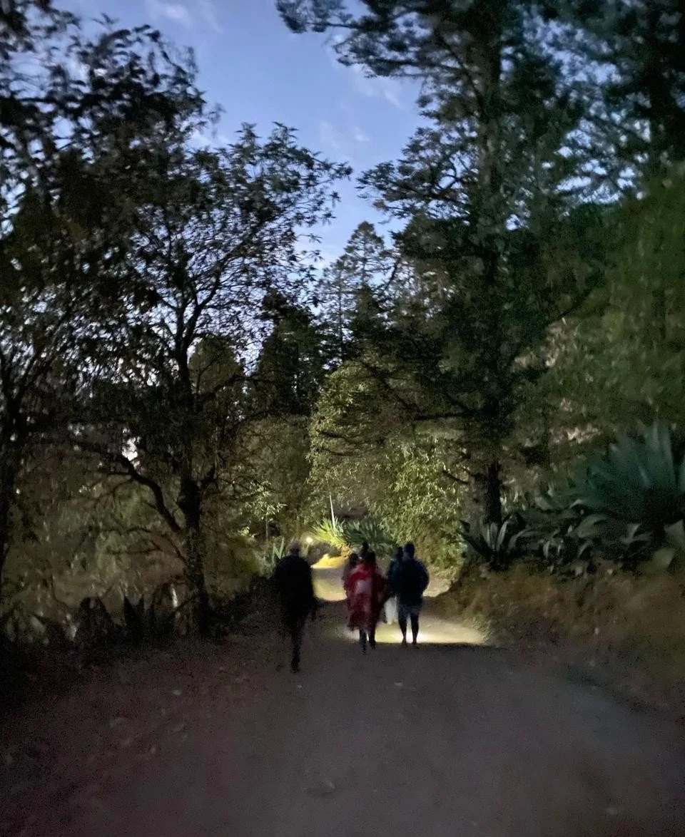 WhatsApp Image 2026-01-19 at 3.38.55 PM (5).jpeg