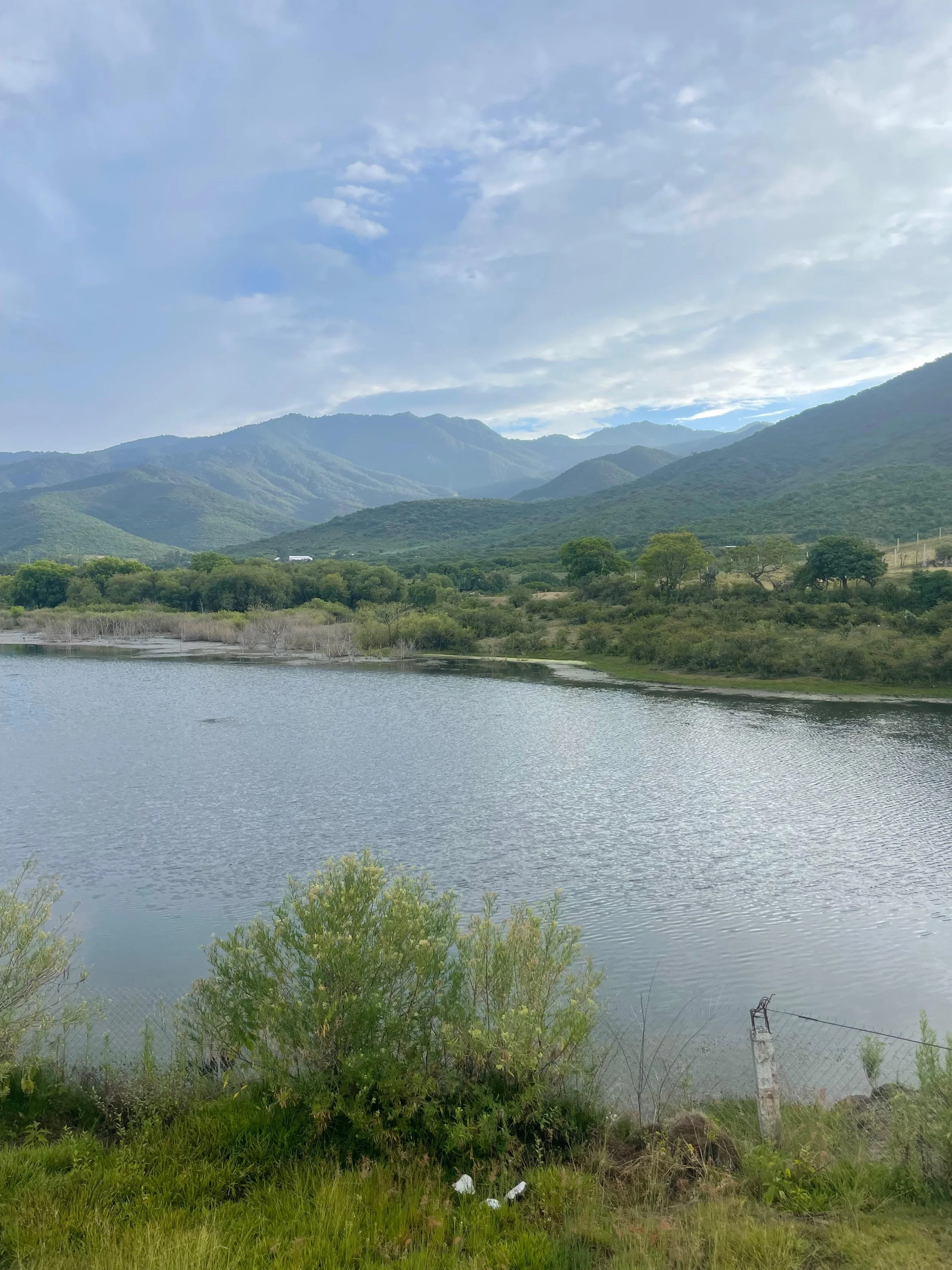 WhatsApp Image 2026-01-18 at 8.09.27 PM (1).jpeg