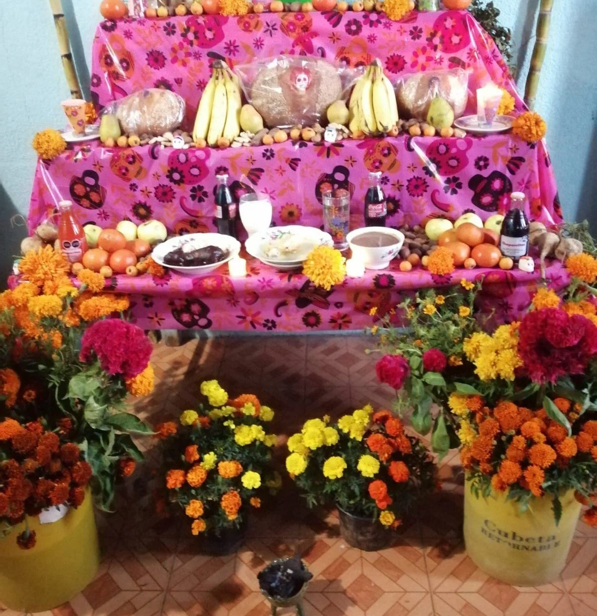 WhatsApp Image 2026-01-22 at 2.21.40 PM.jpeg