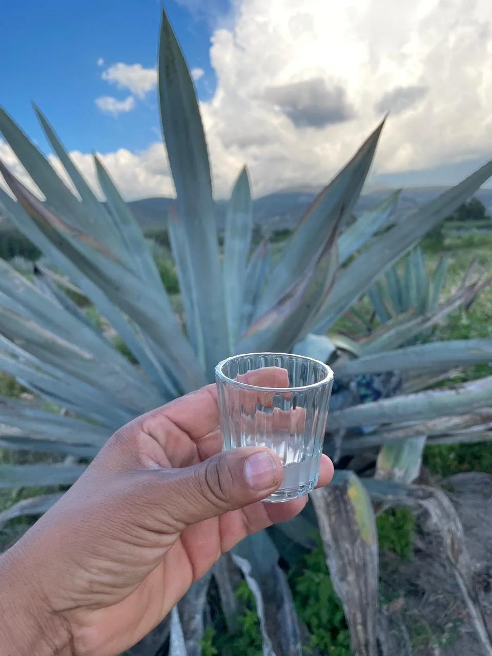 WhatsApp Image 2026-01-22 at 2.21.40 PM (2).jpeg