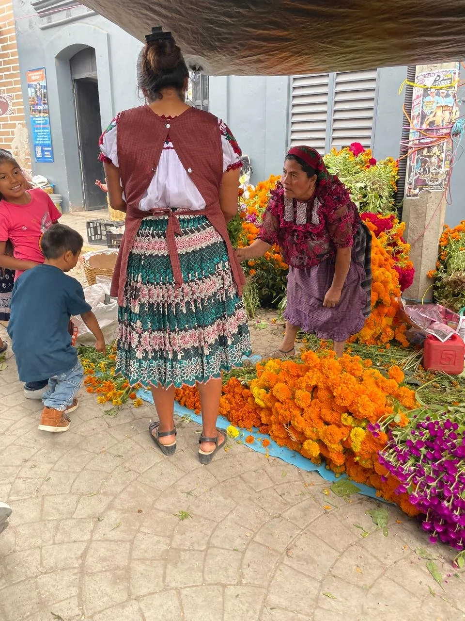 WhatsApp Image 2026-01-22 at 12.10.23 PM.jpeg