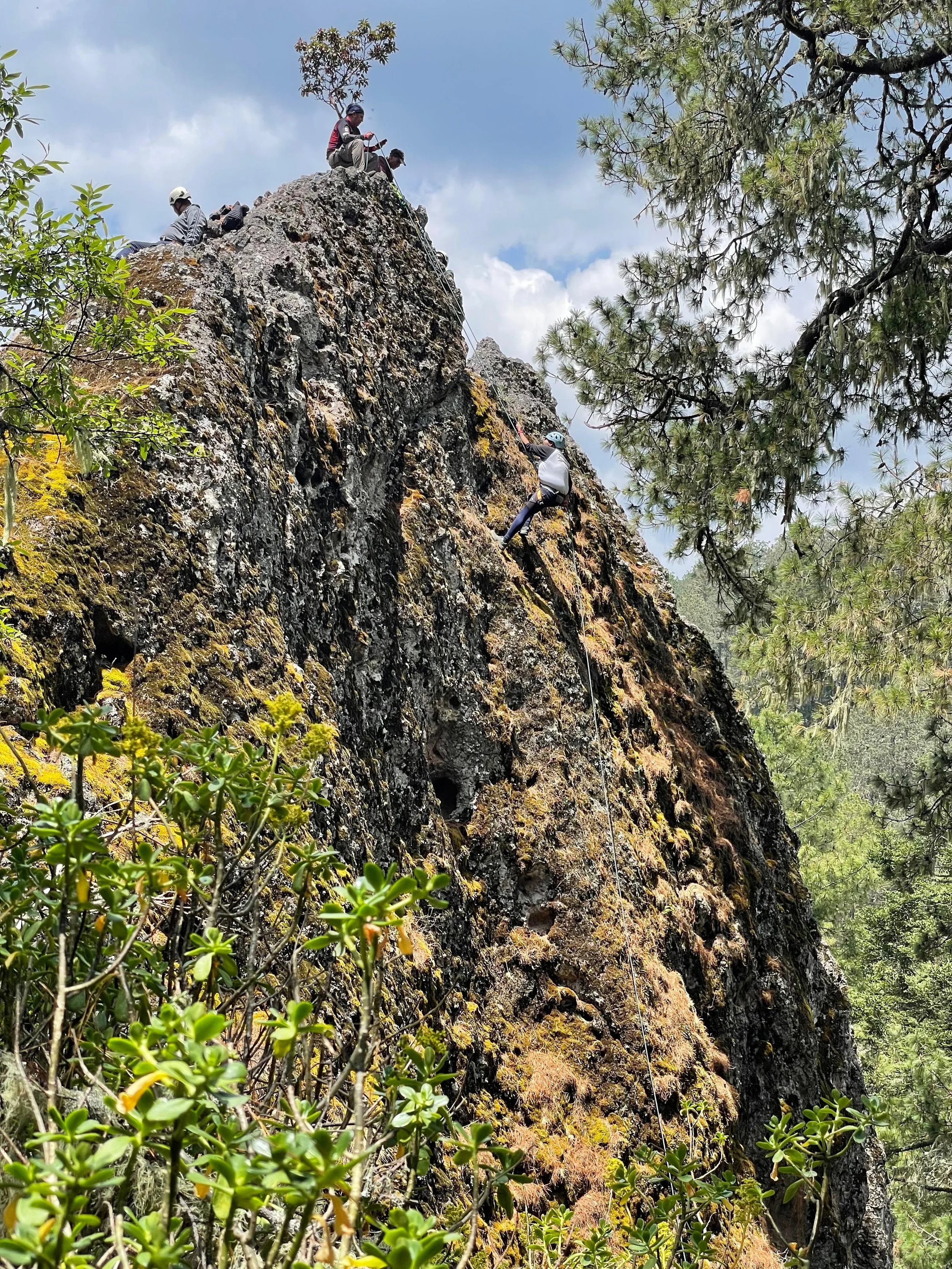 WhatsApp Image 2026-01-19 at 4.10.17 PM.jpeg