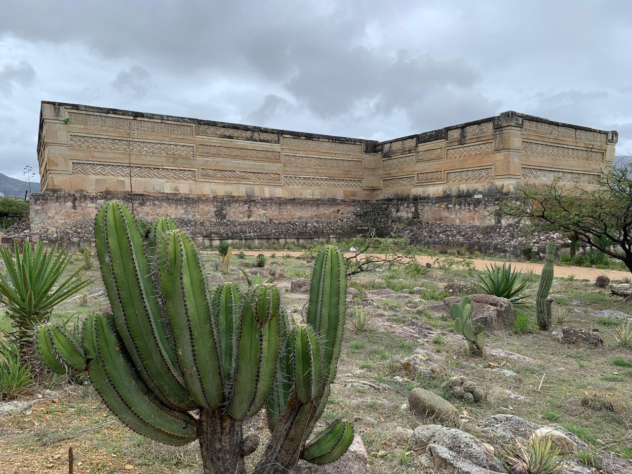 WhatsApp Image 2025-12-29 at 8.18.47 PM (3).jpeg