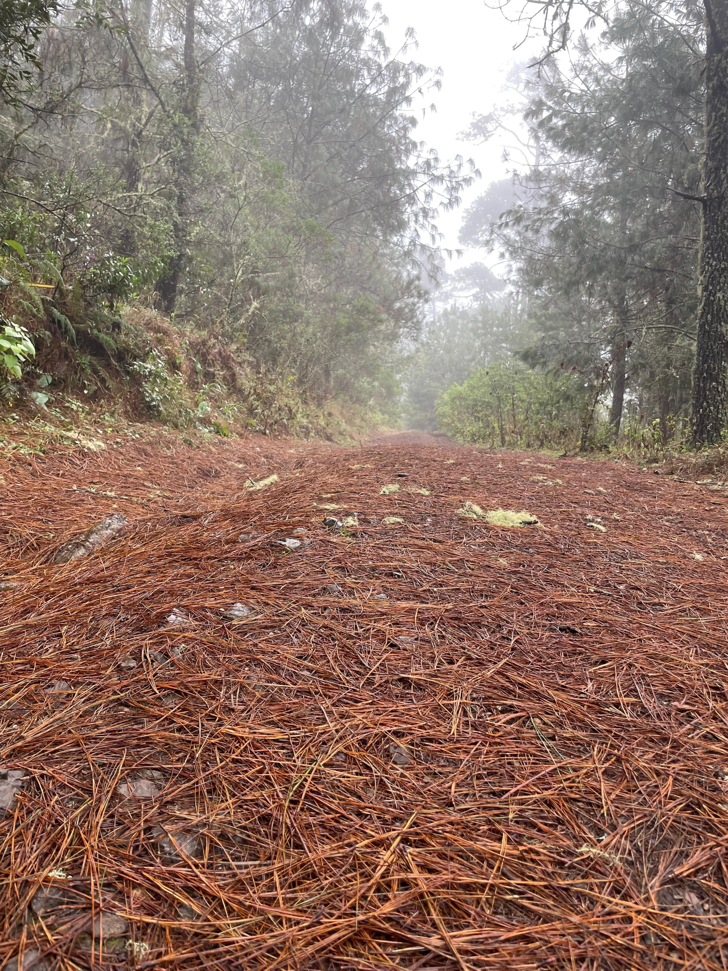 WhatsApp Image 2026-01-19 at 5.53.41 PM (3).jpeg