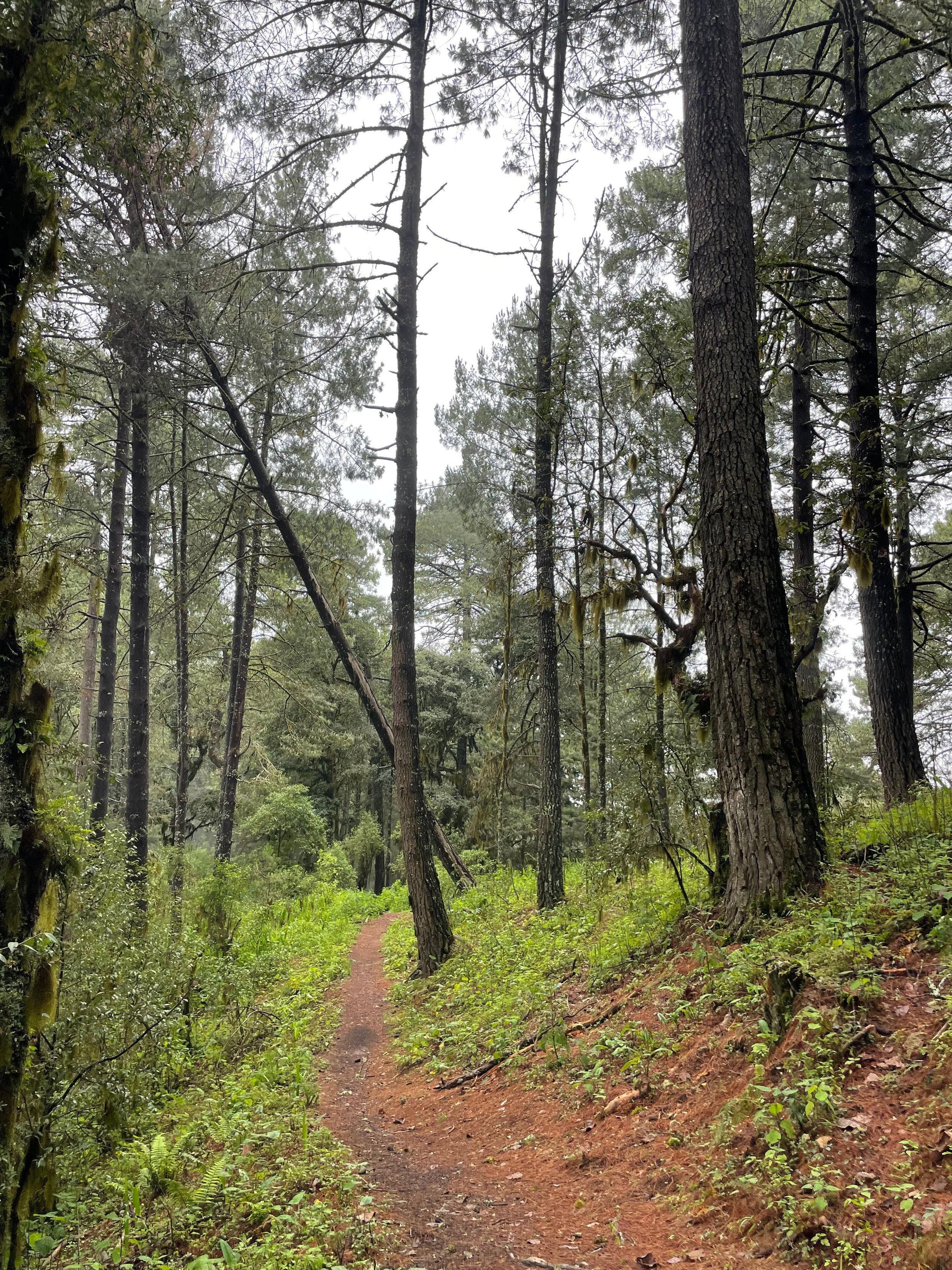 WhatsApp Image 2026-01-18 at 7.22.58 PM (2).jpeg