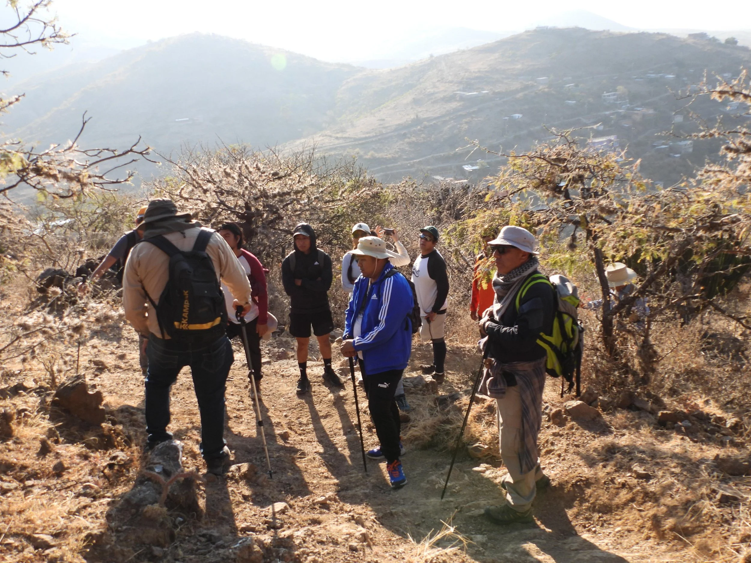 WhatsApp Image 2026-01-18 at 8.11.55 PM.jpeg